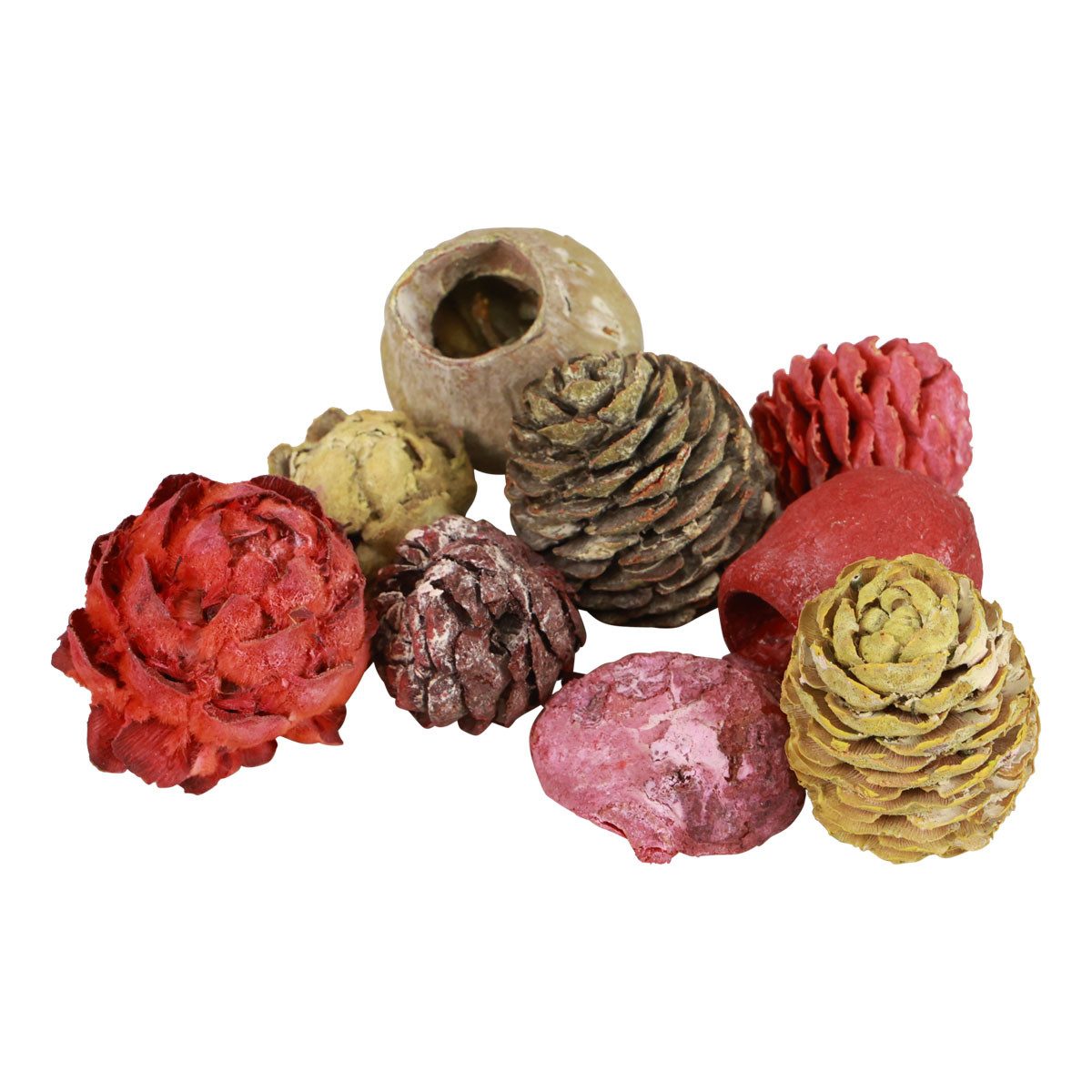 Trockenblume Leucadendron Zapfen Bellgum Deko grün rot gelb gefrostet 300g, Florists Products, Höhe 3.5 cm