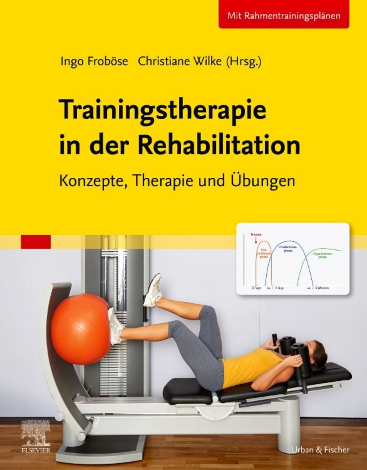 Trainingstherapie in der Rehabilitation / diverse