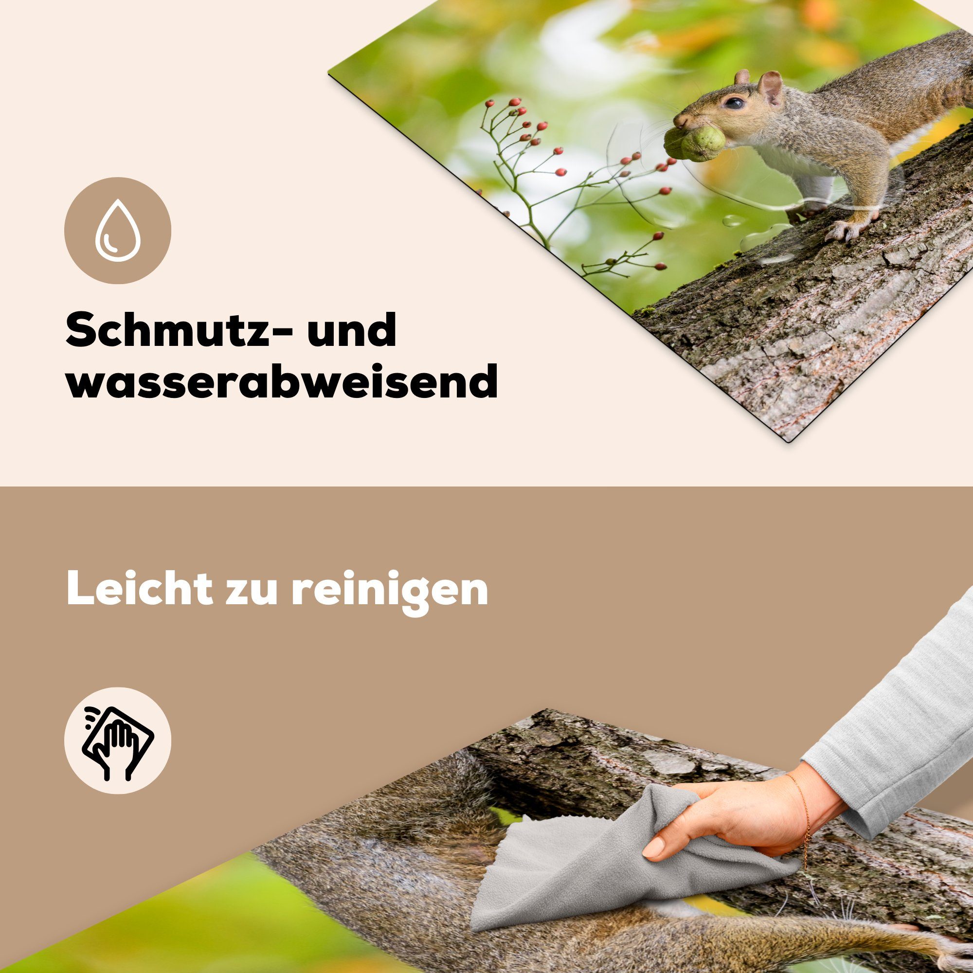 MuchoWow Herdblende-/Abdeckplatte Eichhörnchen - Arbeitsfläche cm, - Beere Mobile Baum (1 - Vinyl, tlg), nutzbar, Herbst, Ceranfeldabdeckung 70x52