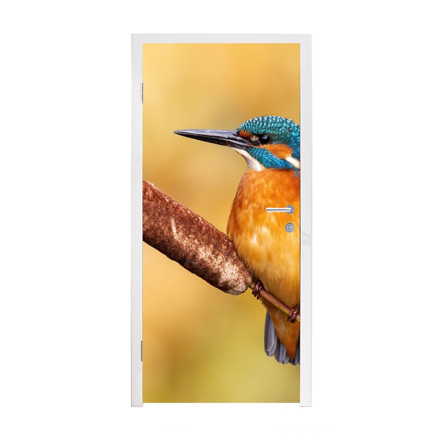 MuchoWow Türtapete Eisvogel - Natur - Vogel, Matt, bedruckt, (1 St), Fototapete für Tür, Türaufkleber, 75x205 cm | Türtapeten