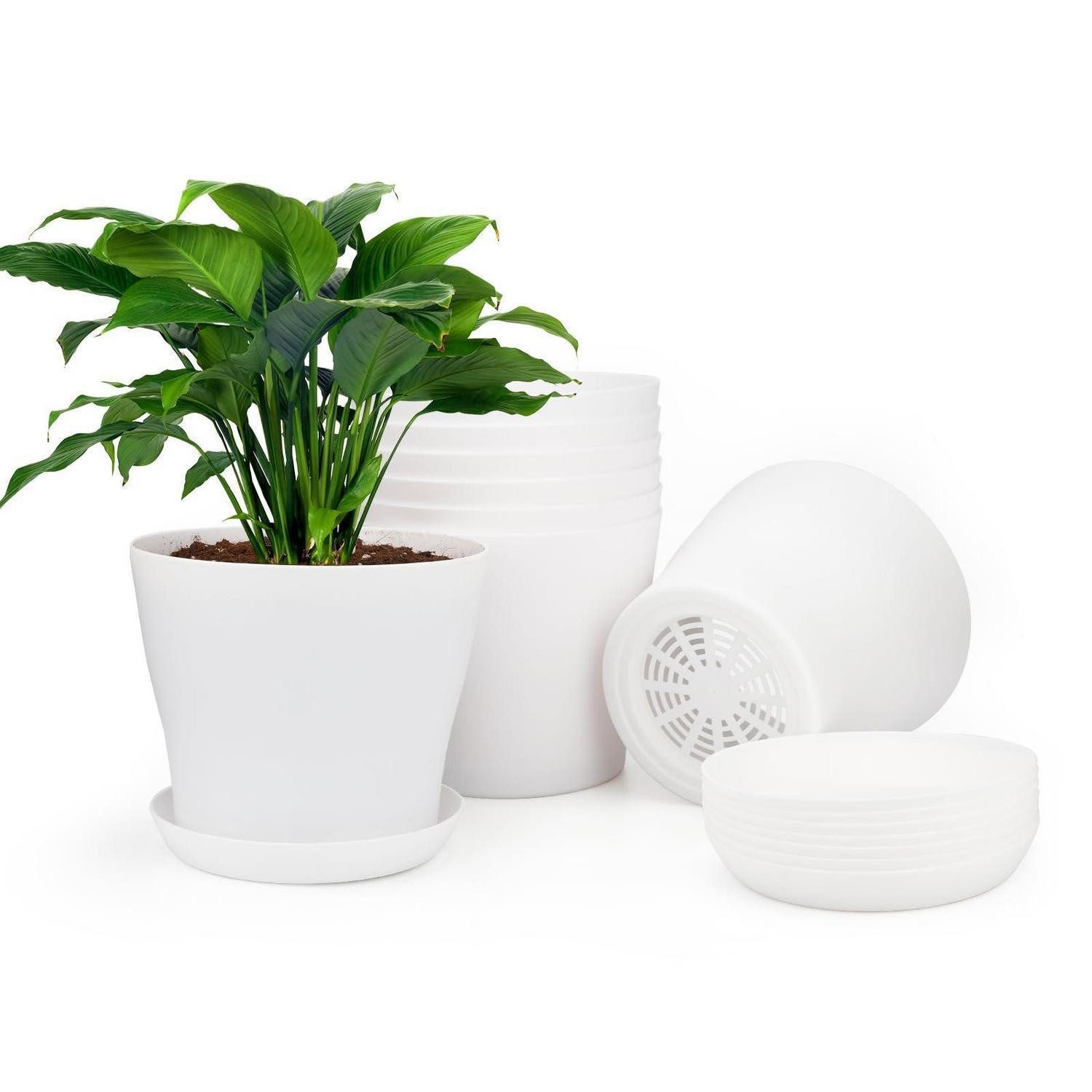 LuxusKollektion Blumentopf Blumentöpfe 8er Set Kunststoff Untersetzer Kakteen Weiß 10 cm (8 St)
