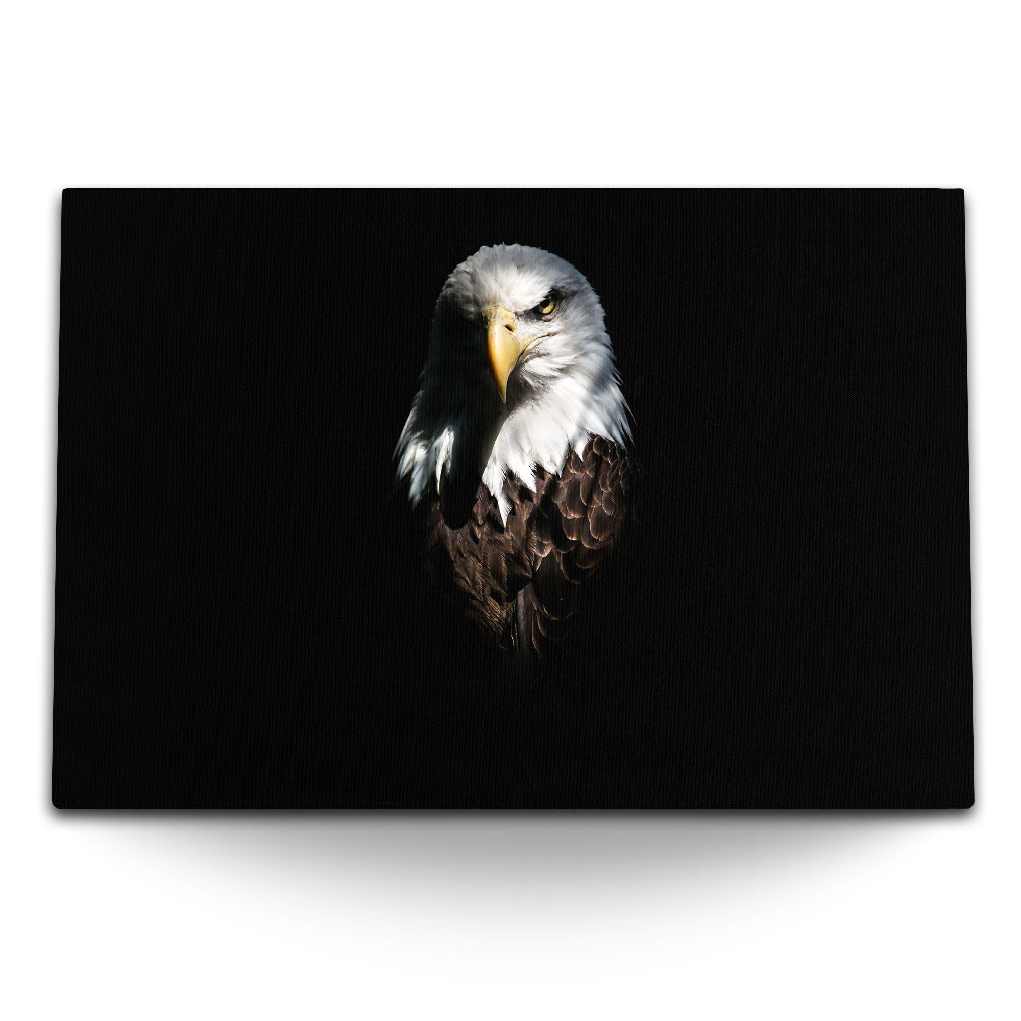 Leinwandbild 120x80cm Wandbild auf Leinwand Weißkopfadler Adler Tierfotografie schw