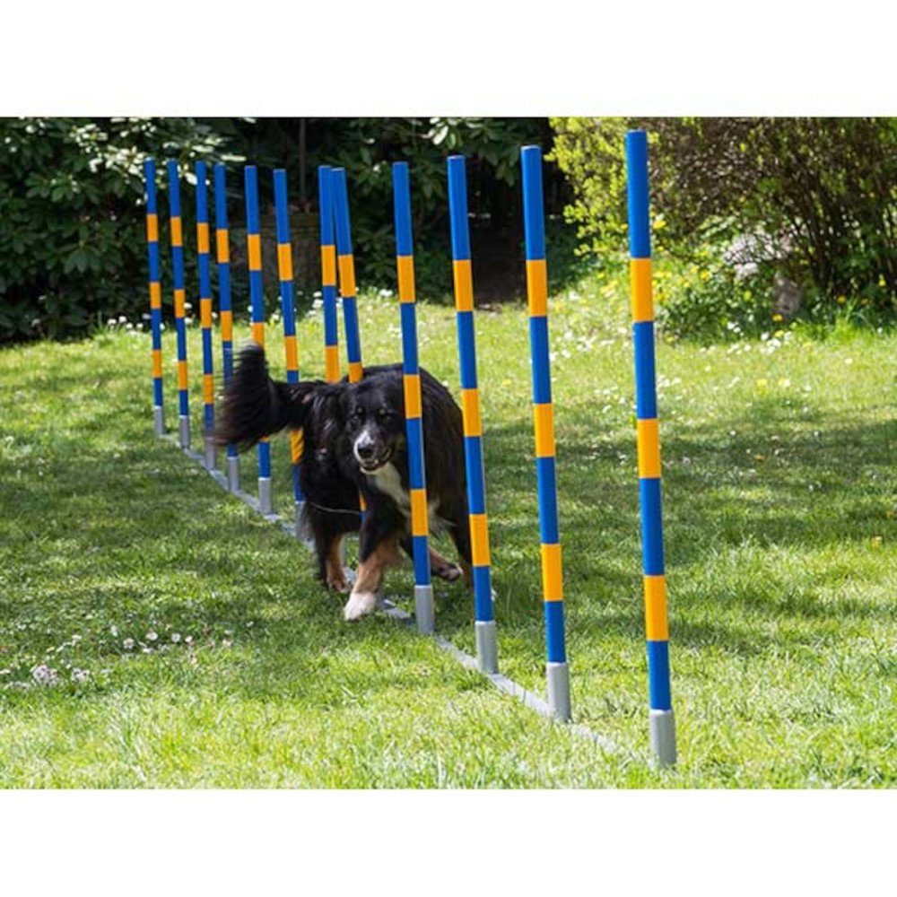 Procyon Agility-Slalom PROCYON Dog Agility Profi Alu Slalom