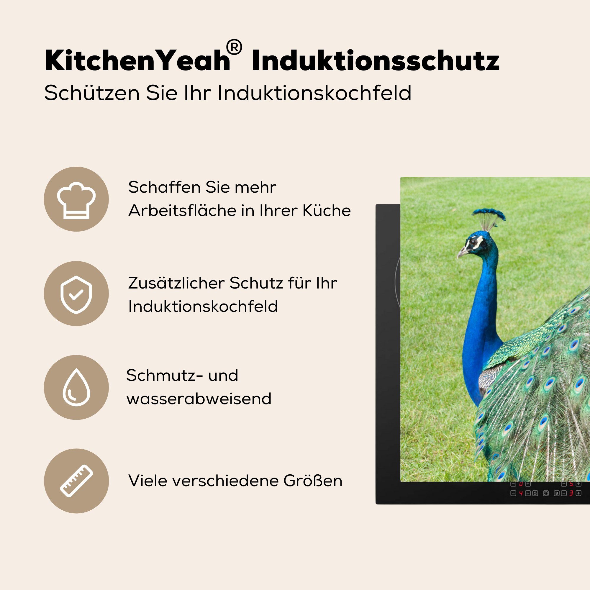 MuchoWow Herdblende-/Abdeckplatte Pfau - Vogelmuster, für Ceranfeldabdeckung 71x52 küche, cm, Vinyl, Schutz (1 tlg), Induktionskochfeld die