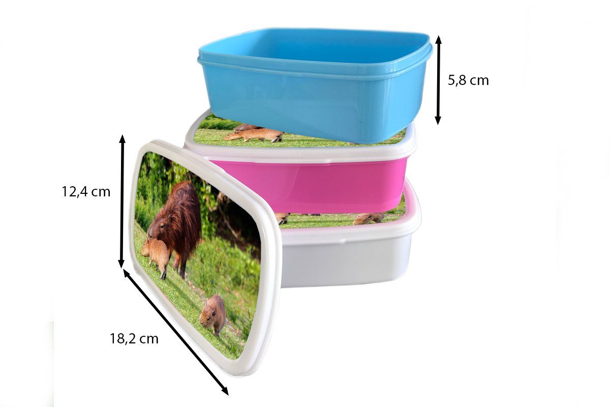 MuchoWow Lunchbox Brotbox Gras, Capibara-Familie im Kinder und Jungs für Mädchen (2-tlg), für Erwachsene, weiß Brotdose, und Kunststoff