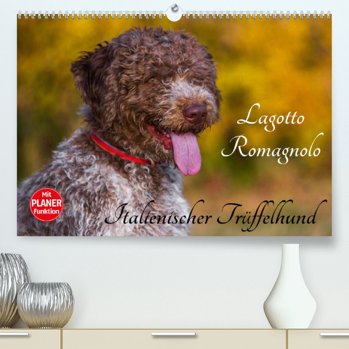 CALVENDO Wandkalender Lagotto Romagnolo - Italienischer Trüffelhund (Premium, hochwertiger DIN A2 Wandkalender 2023, Kunstdruck in Hochglanz)