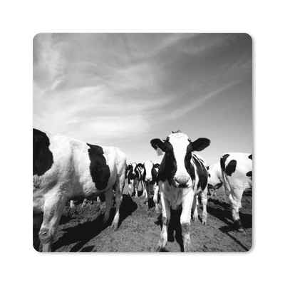 MuchoWow Gaming Mauspad Eine große Herde friesischer Kühe - schwarz und weiß (1-St), Gaming, Rutschfester Unterseite, Mausunterlage, 80x80 cm, XXL, Großes