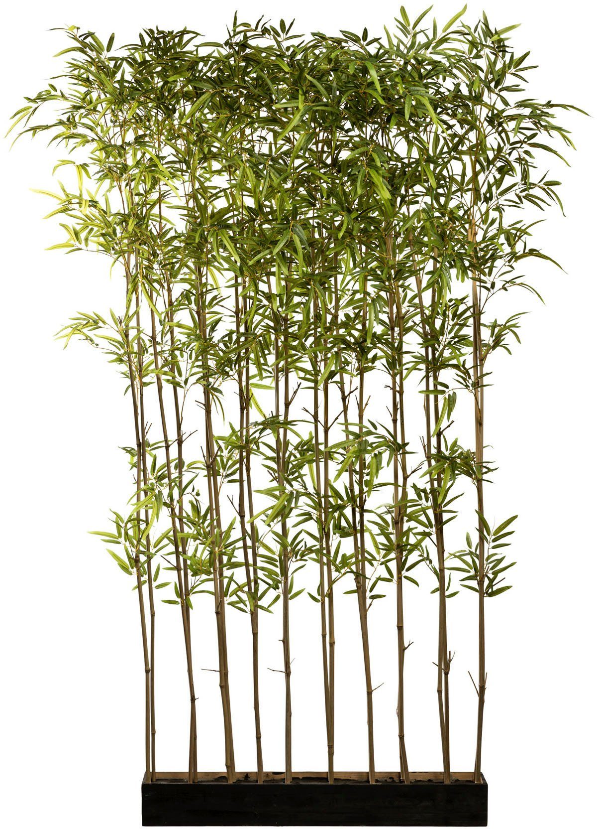 Creativ cm, Bambusraumteiler 200 green, Zimmerpflanze Holzkasten im Höhe Künstliche Bambus,