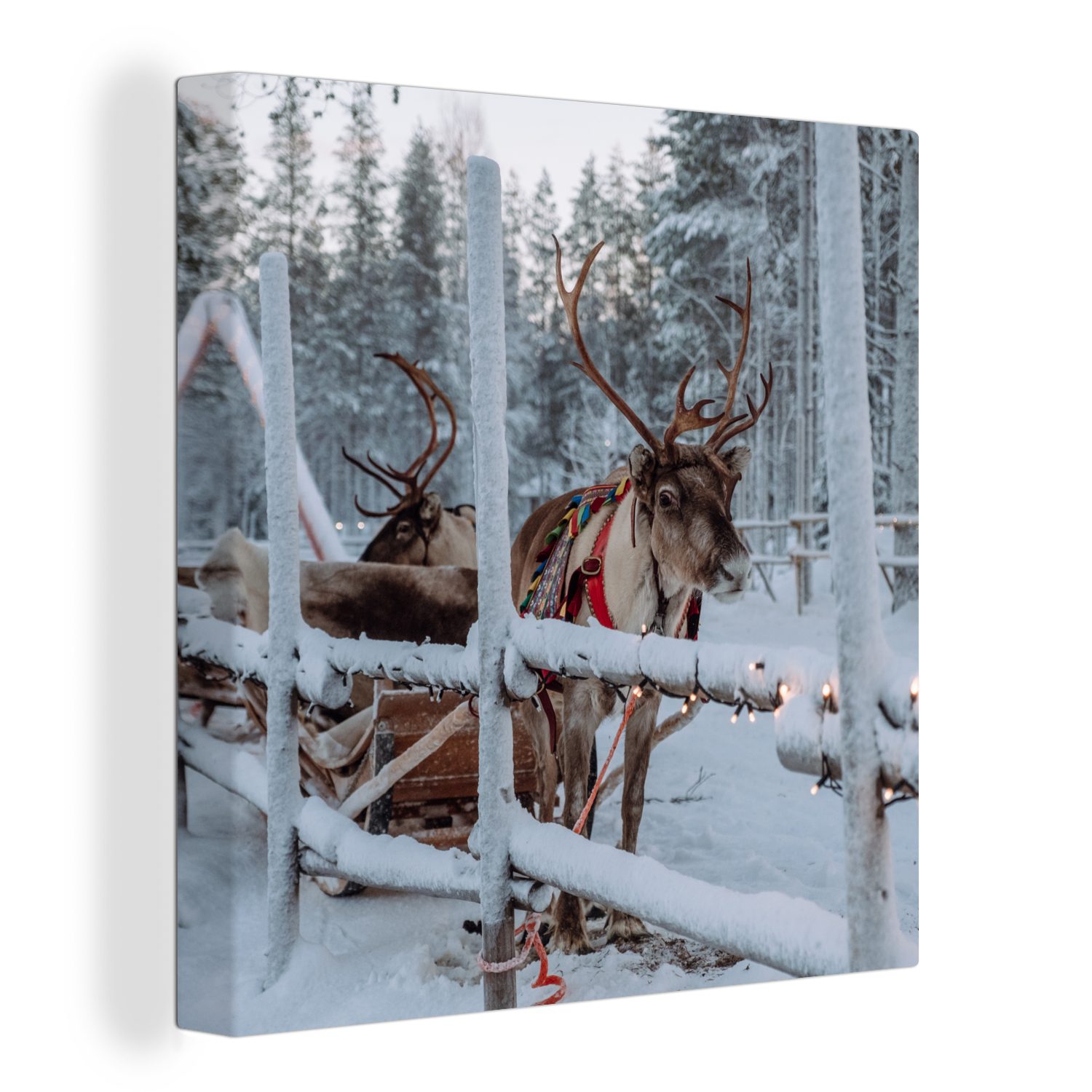 Leinwandbild Ein Rentier im Weihnachtsmanndorf in Finnland