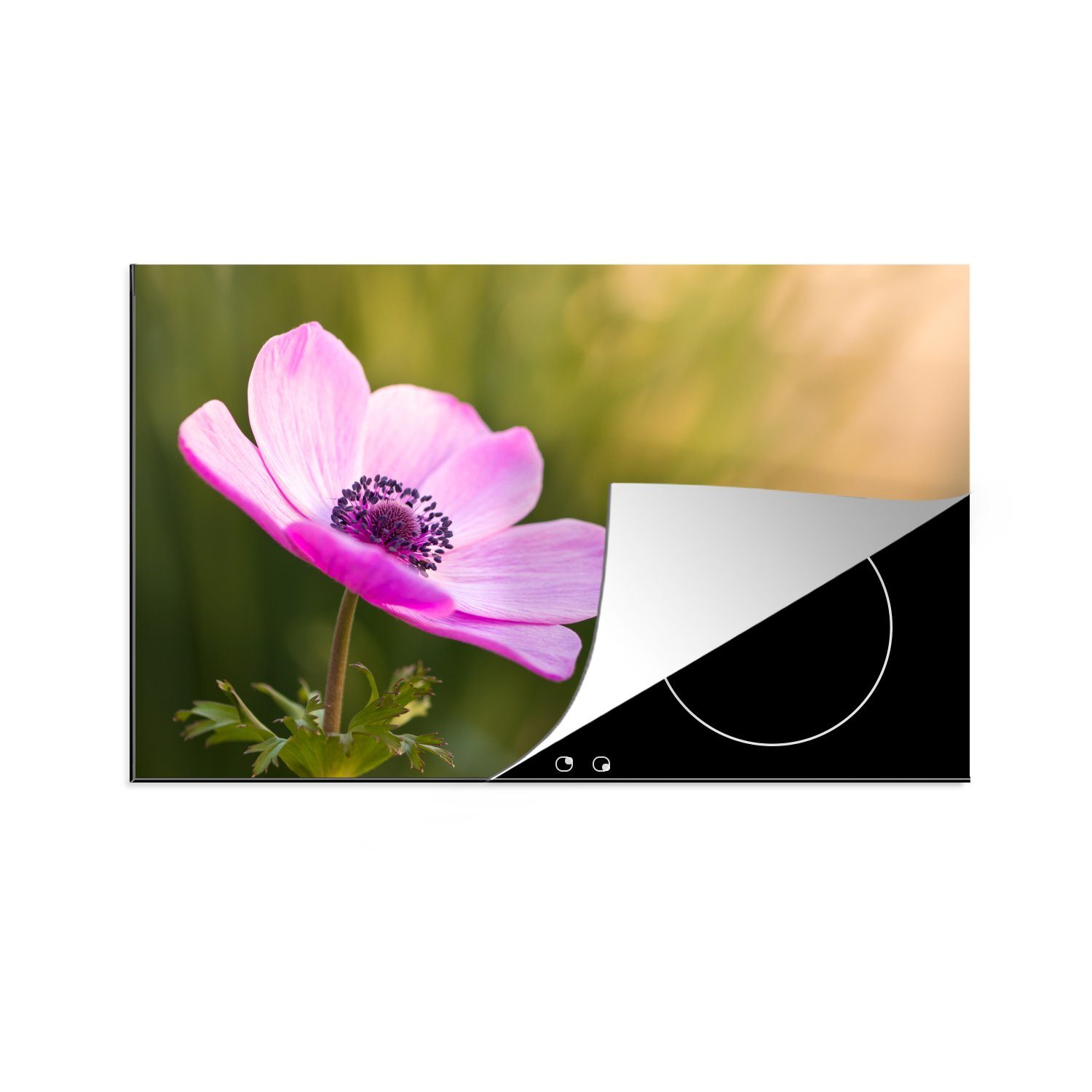 MuchoWow Herdblende-/Abdeckplatte Makroaufnahme rosa Anemone, Vinyl, (1 tlg), 81x52 cm, Induktionskochfeld Schutz für die küche, Ceranfeldabdeckung