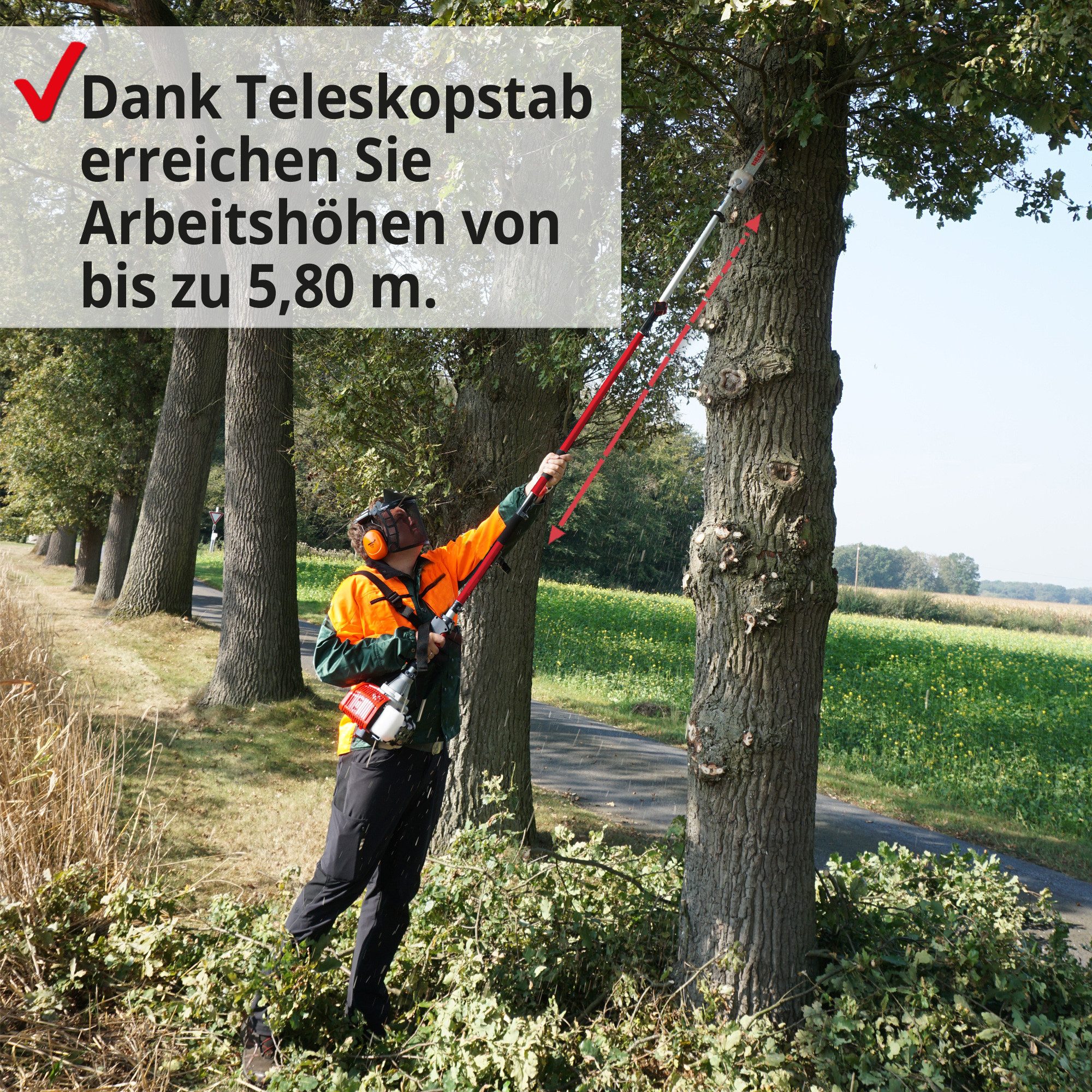 Hecht Hochentaster Benzin 9260 mit Teleskopstange, bis 5,8 m Arbeitshöhe, 1 PS, 34 cm Schwertlänge, 10000 U/min