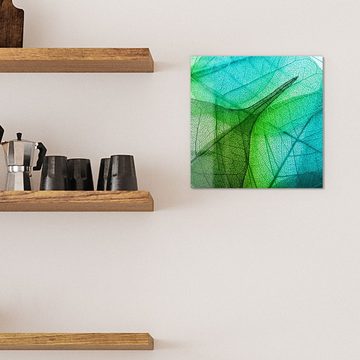 DEQORI Magnettafel 'Durchleuchtete Blätter', Whiteboard Pinnwand beschreibbar