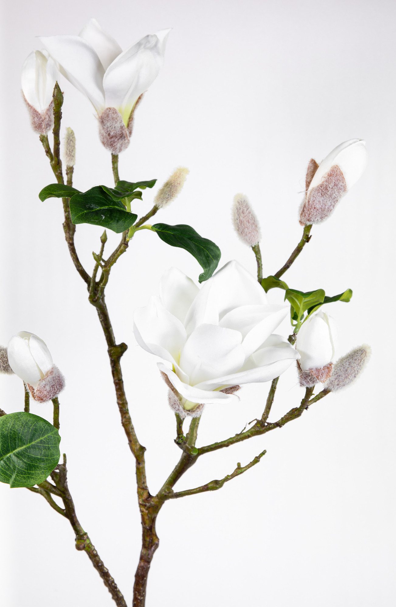 Kunstblume Magnolienzweig / Magnolienast 98cm weiß GA künstliche Blumen Magnolie, Seidenblumen Roß, Höhe 98 cm