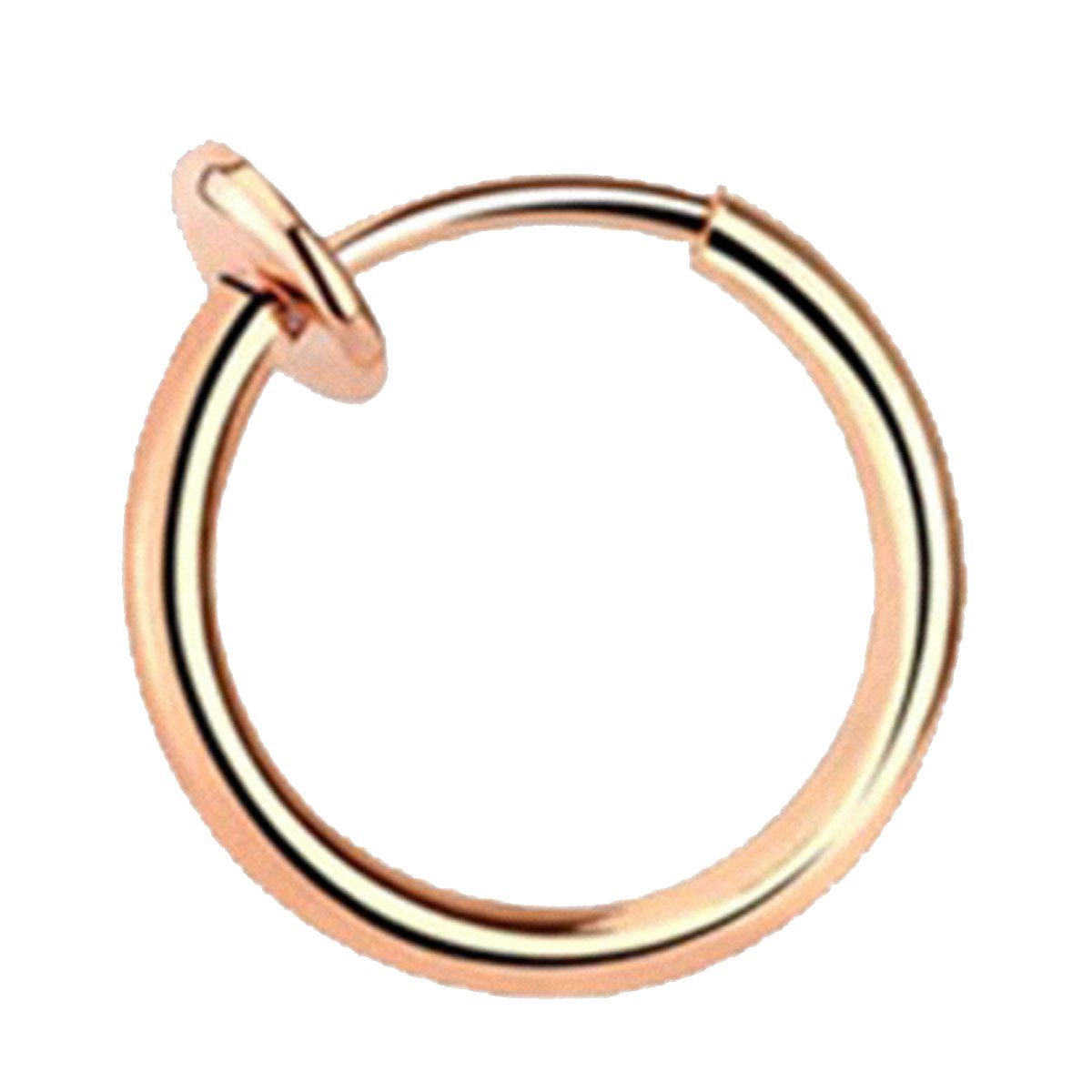 Taffstyle Nasenpiercing Fake Piercing Septum Nase Lippe Ohr Klemmverschluss (Universal Fake Ring für Nase Lippe Ohr und Helix)