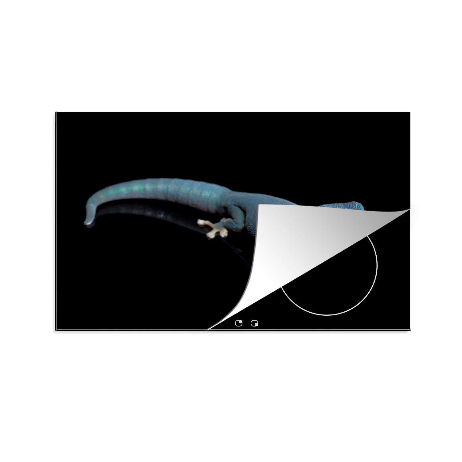 MuchoWow Herdblende-/Abdeckplatte Blauer Gecko auf schwarzem Hintergrund, Vinyl, (1 tlg), 81x52 cm, Induktionskochfeld Schutz für die küche, Ceranfeldabdeckung