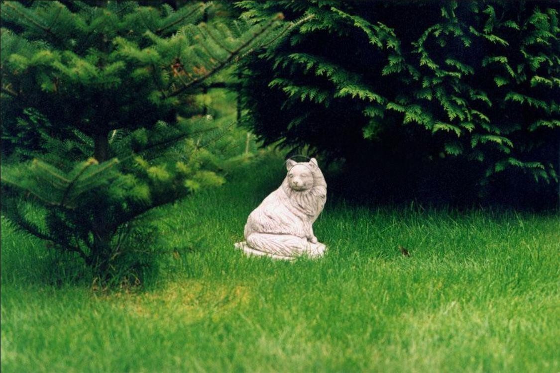 Skulptur Garten Dekoration Katze Statue Figuren Skulpturen Design Figur