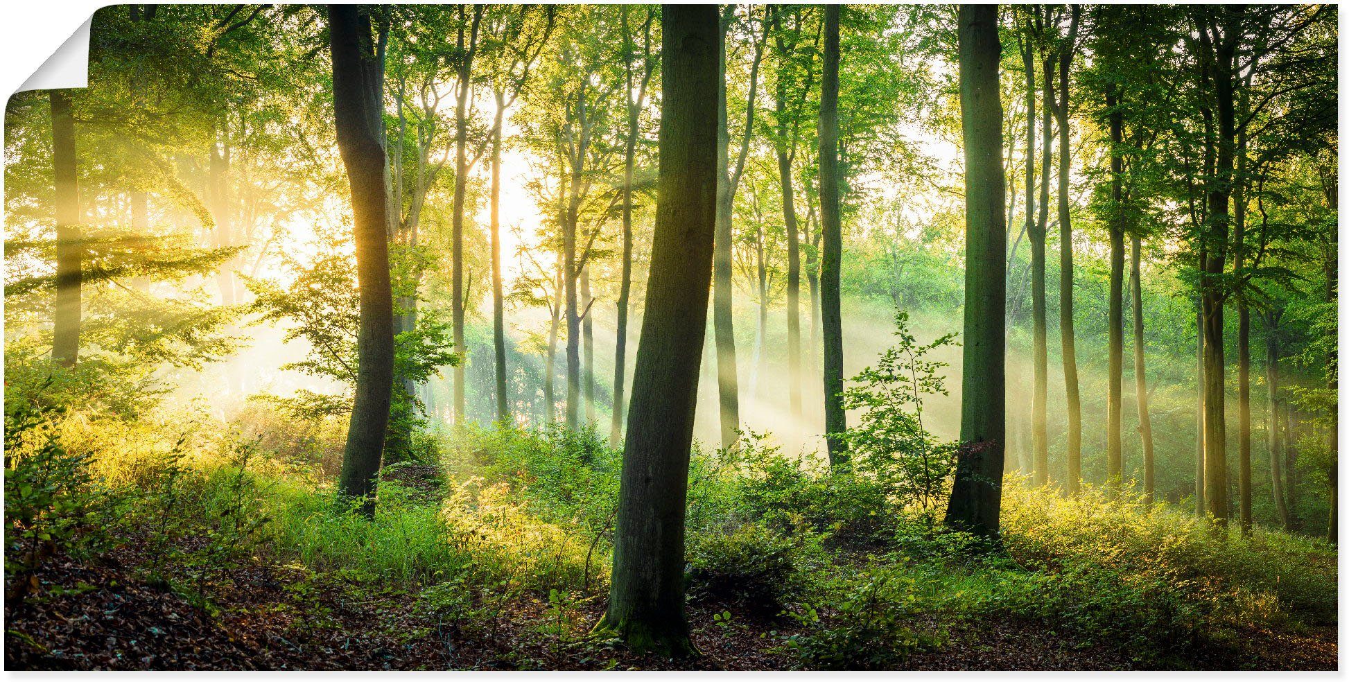 oder Wandaufkleber Wald Größen Leinwandbild, (1 in im als Waldbilder Herbst II, Alubild, versch. Poster Wandbild Artland St),