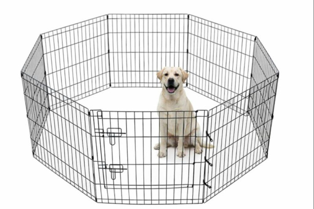 MYPETS Freigehege YOUNGSTER Welpenlaufstall Welpenauslauf Welpen Hunde