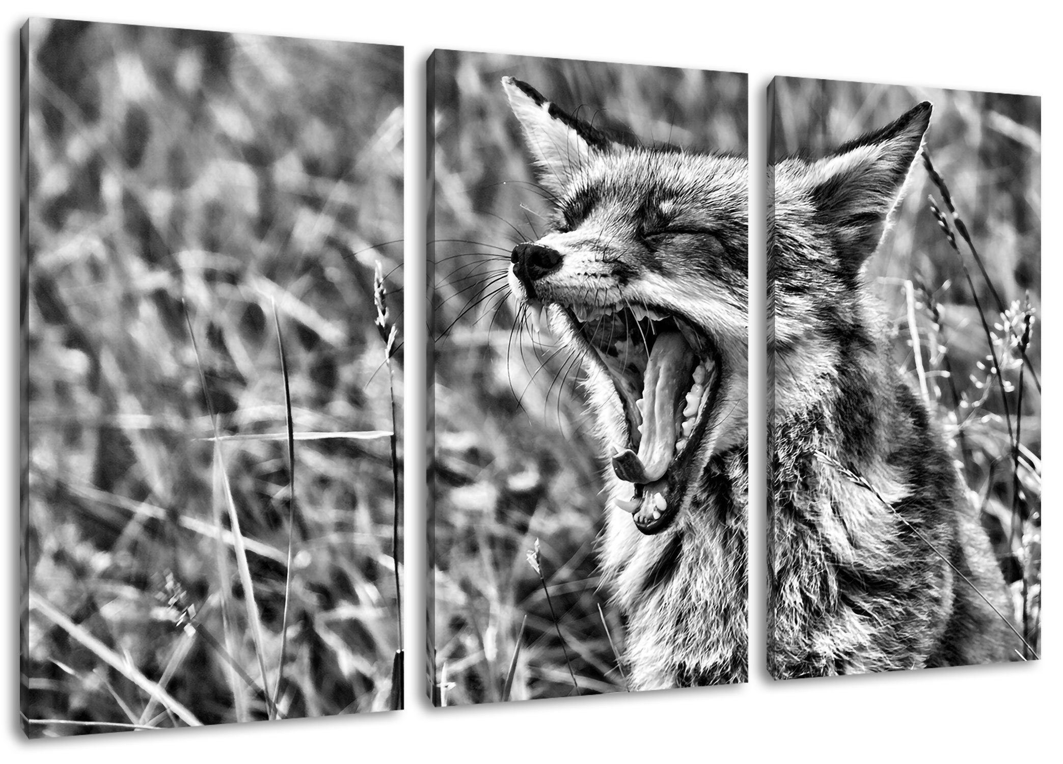 Wildwiese, auf fertig auf Leinwandbild müder (120x80cm) Leinwandbild Pixxprint (1 müder St), bespannt, Fuchs Wildwiese Fuchs Zackenaufhänger inkl. 3Teiler