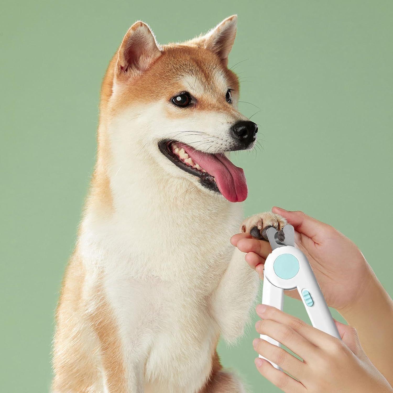 FELIXLEO Krallenschneider Hundekrallenschere Set Mit Licht Krallenschleifer Pfotenpflege, (1-tlg)