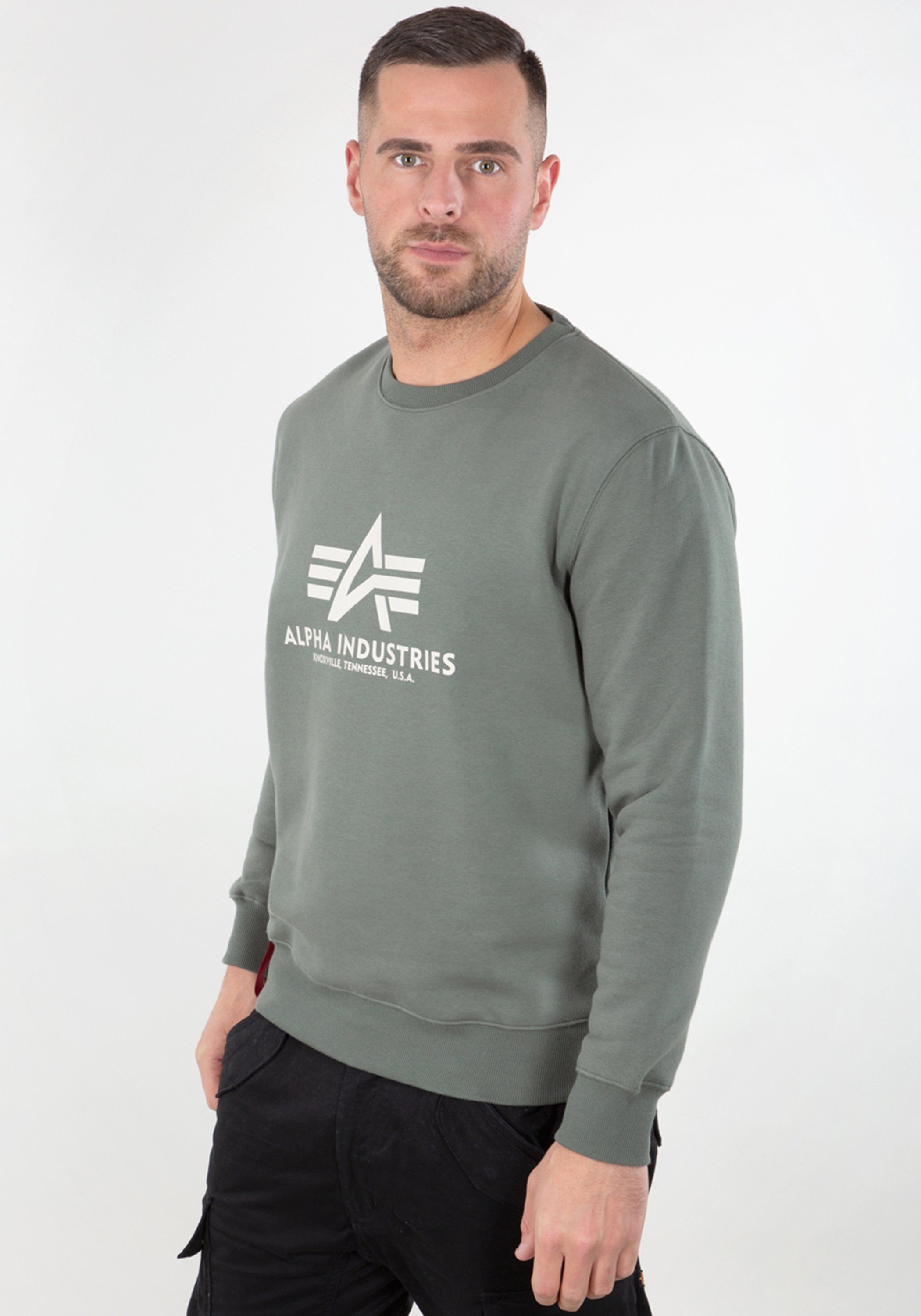 Industries Alpha Industries Alpha Sweatshirts Basic Sweater Sweater vintage - Men green