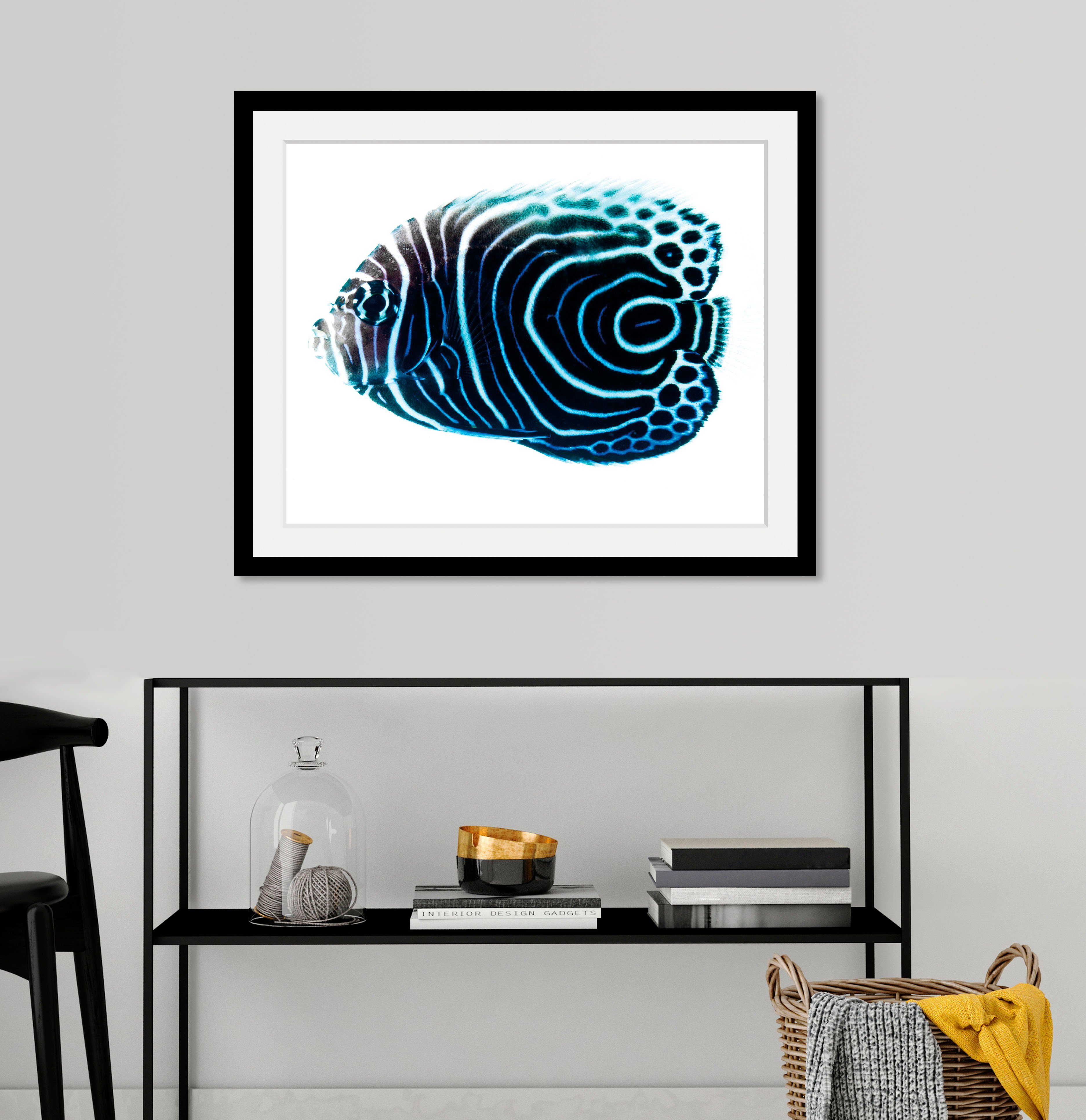 queence Bild Dory, Kunst, Meer, Wassertiere (1 St), HD Premium Poster-Druck inkl. Holzrahmen