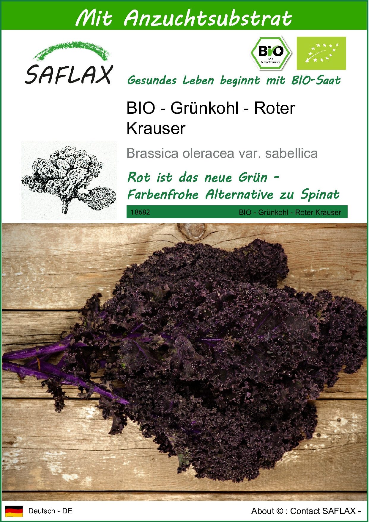 SAFLAX Gemüsesamen SAFLAX - Samen und Substrat - BIO - Grünkohl - Roter Krauser