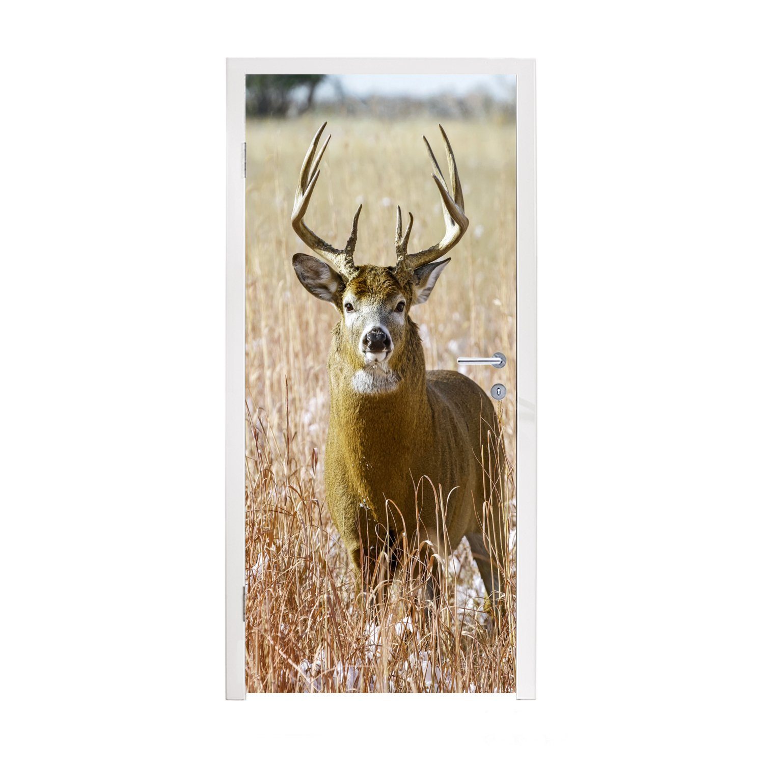 Hirsche - 75x205 - Tiere - (1 MuchoWow Geweih, Türtapete Gras Fototapete - Herbst für Türaufkleber, - Tür, bedruckt, cm St), Matt, Natur