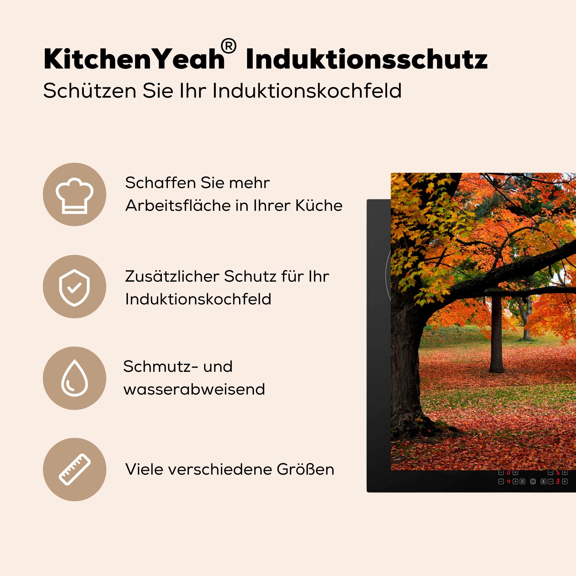 amerikanischen Schutz 81x52 Herdblende-/Abdeckplatte Ceranfeldabdeckung Vinyl, einem für cm, tlg), MuchoWow küche, (1 die in Herbstblätter Induktionskochfeld Wald,