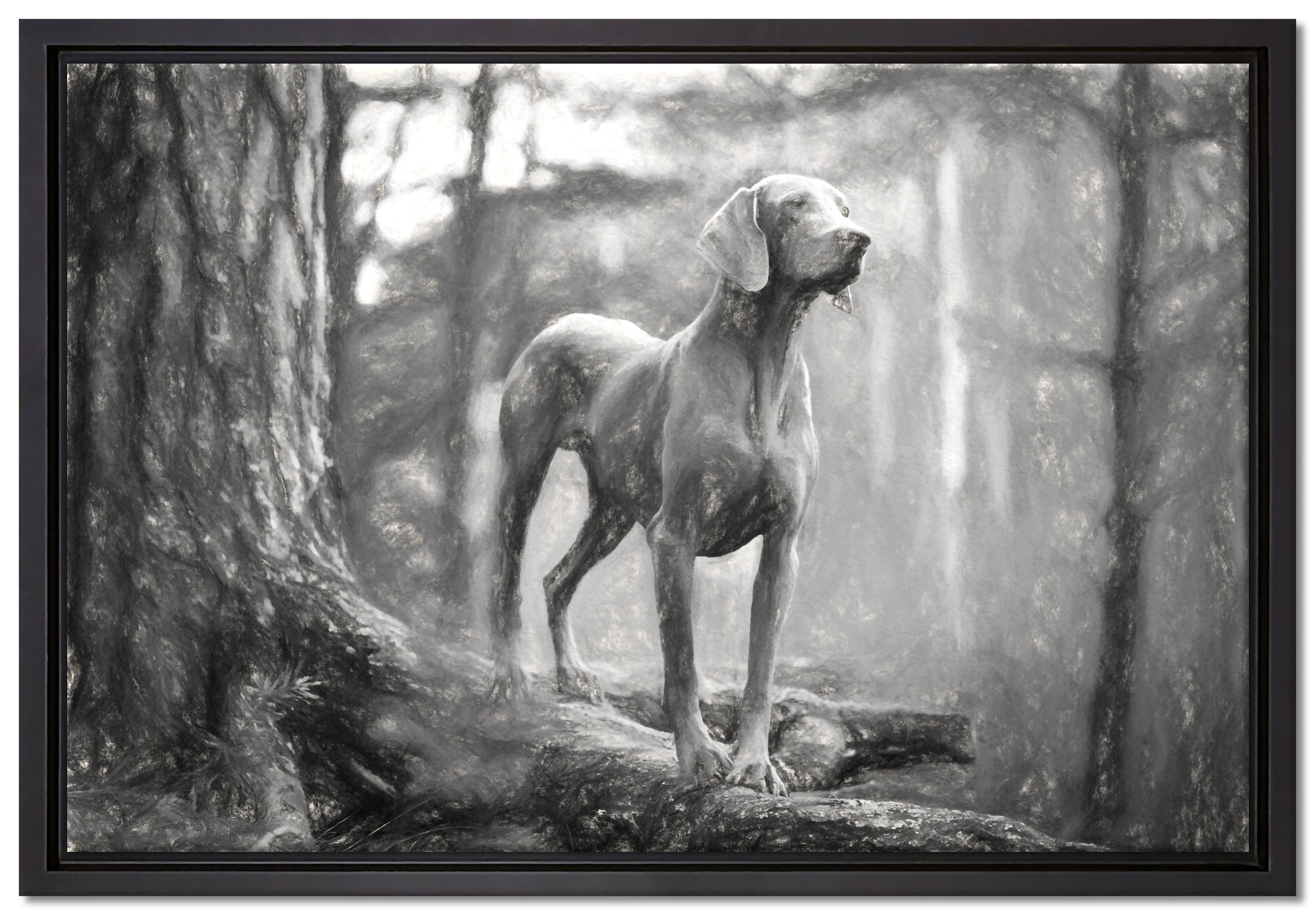 Pixxprint Leinwandbild Hund auf Baumwurzeln, Wanddekoration (1 St), Leinwandbild fertig bespannt, in einem Schattenfugen-Bilderrahmen gefasst, inkl. Zackenaufhänger
