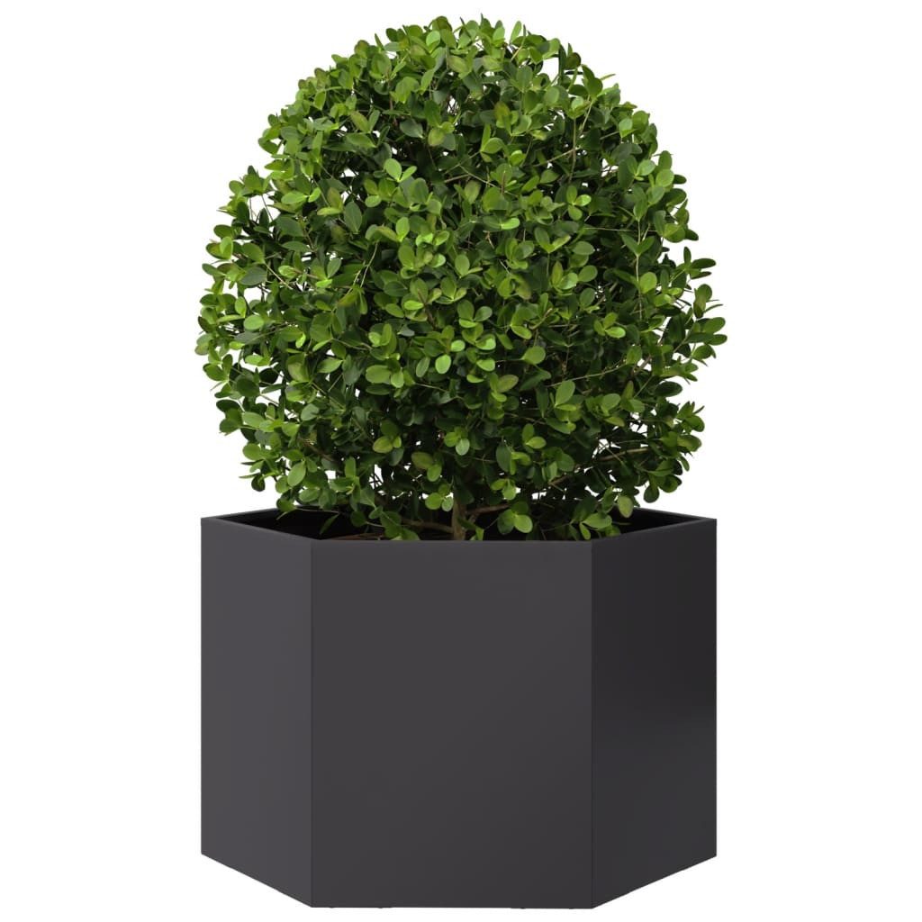 vidaXL Blumentopf Pflanzkübel Schwarz Sechseckig 69x60x45 günstig online kaufen