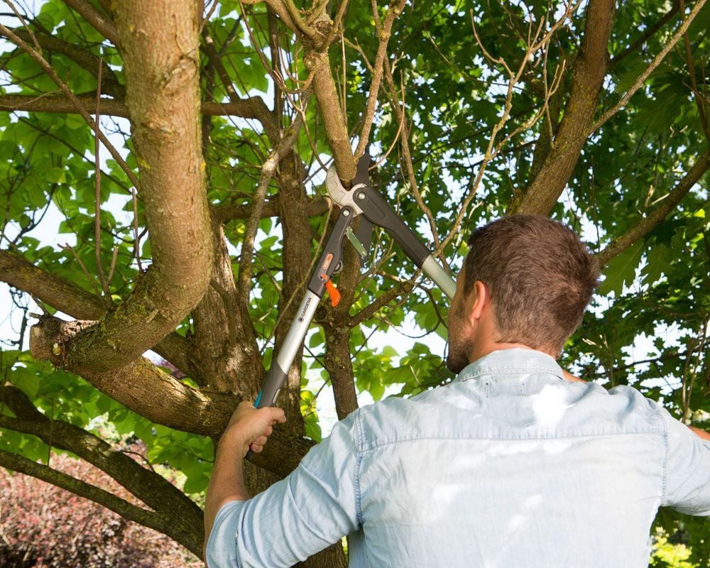 GARDENA Astschere Gardena Ratschen-Astschere Comfort SmartCut bis zu