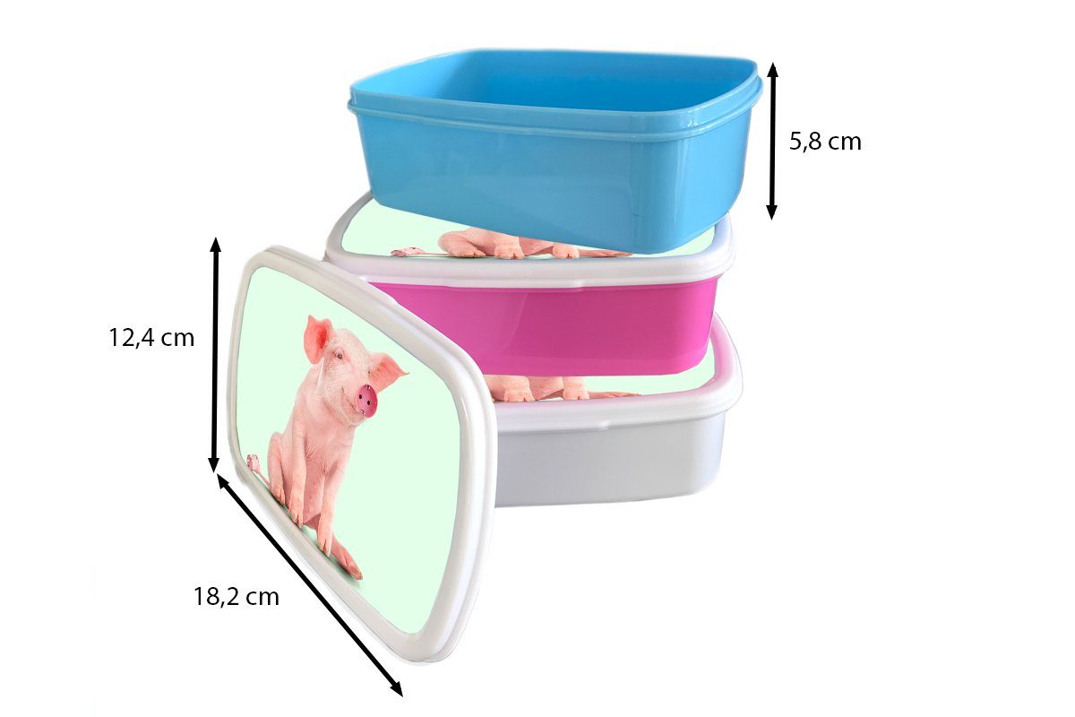 Lunchbox Brotbox MuchoWow für Erwachsene, (2-tlg), Schwein Sockel Rosa Kunststoff - Mädchen, Snackbox, Kunststoff, Brotdose - Kinder, - Tiere,