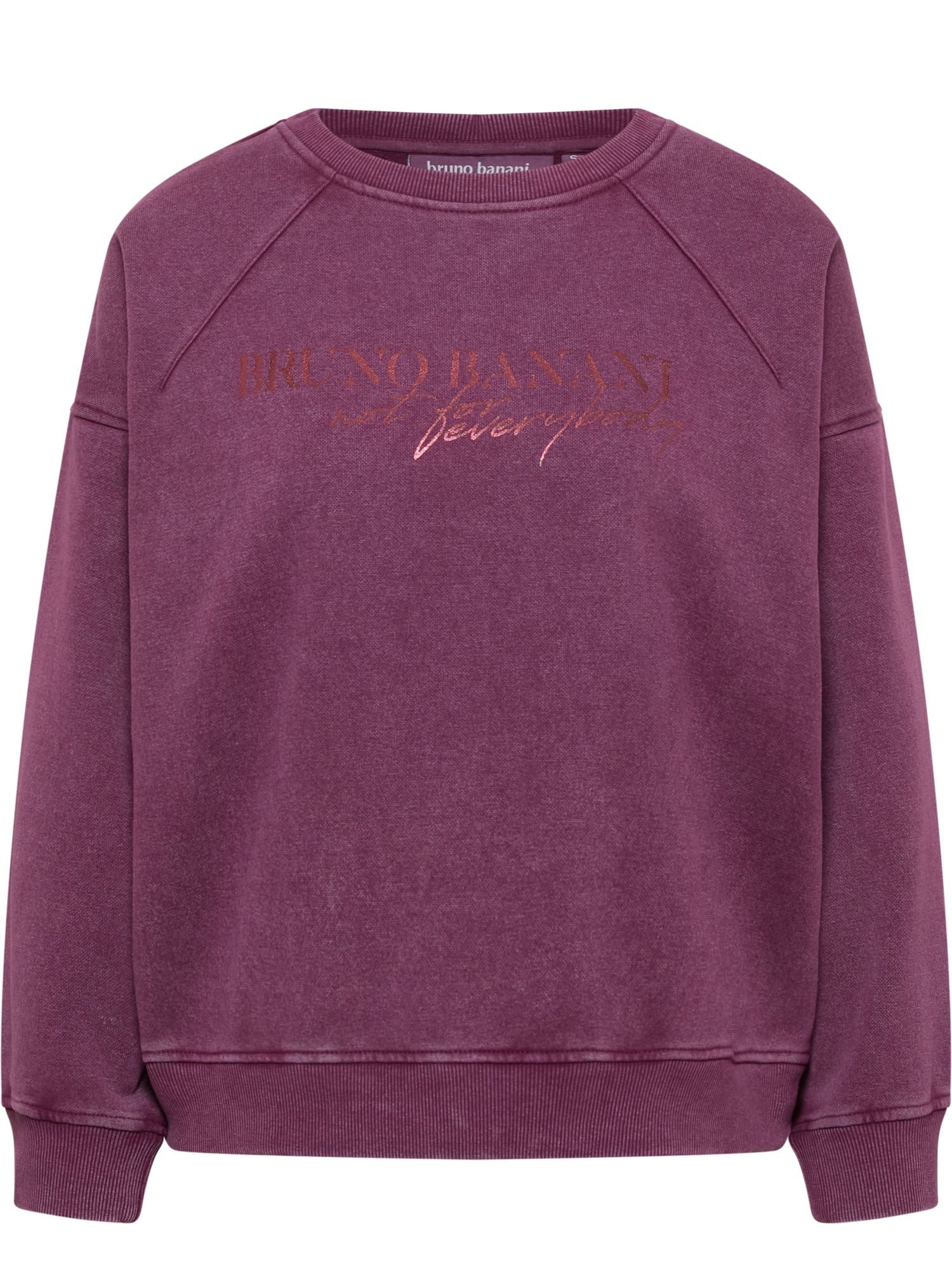 Bruno Banani Sweatshirt CARMICHAEL