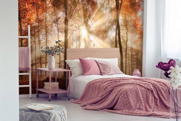 Wallarena Fototapete Wald Sonne Vlies Tapete Wohnzimmer Schlafzimmer Wandtapete, Glatt Vlies, Natur, Landschaft, Tapete inklusive Kleister Vliestapete Motivtapete