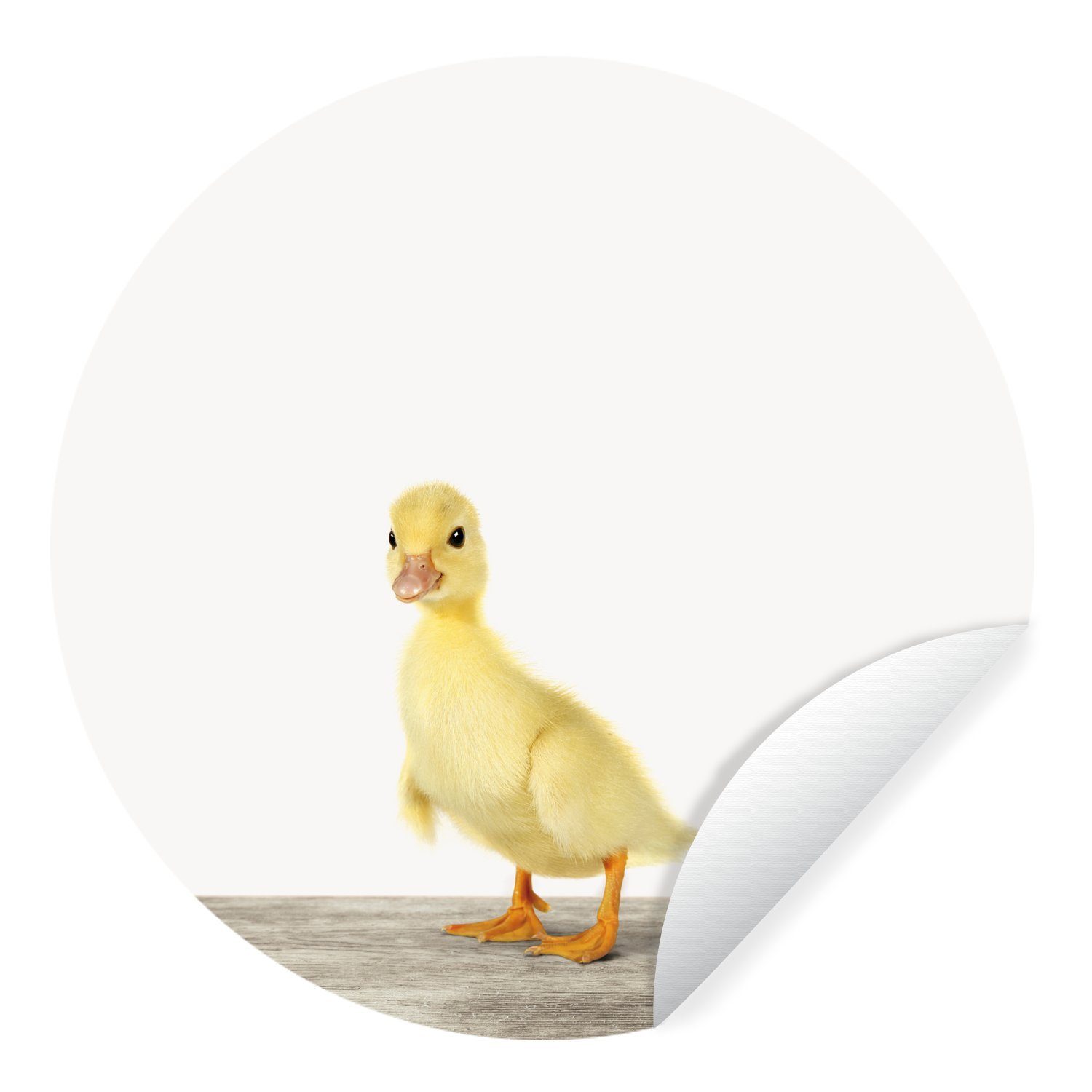 MuchoWow Wandsticker Tiere - Gelb - Ente (1 St), Tapetenkreis für Kinderzimmer, Tapetenaufkleber, Rund, Wohnzimmer