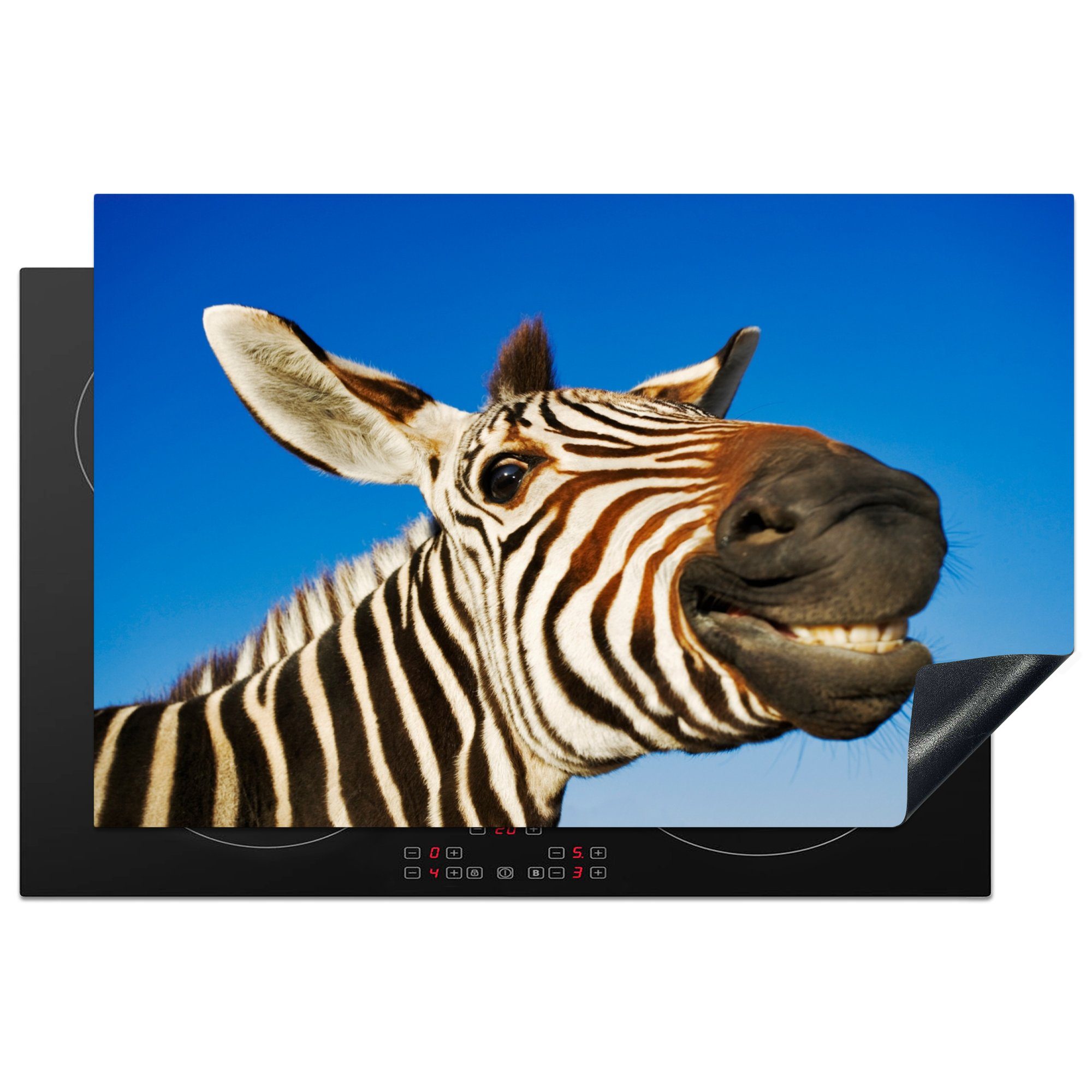 MuchoWow Herdblende-/Abdeckplatte Zebra - Lustig - Kinder - Jungen - Mädchen, Vinyl, (1 tlg), 81x52 cm, Induktionskochfeld Schutz für die küche, Ceranfeldabdeckung