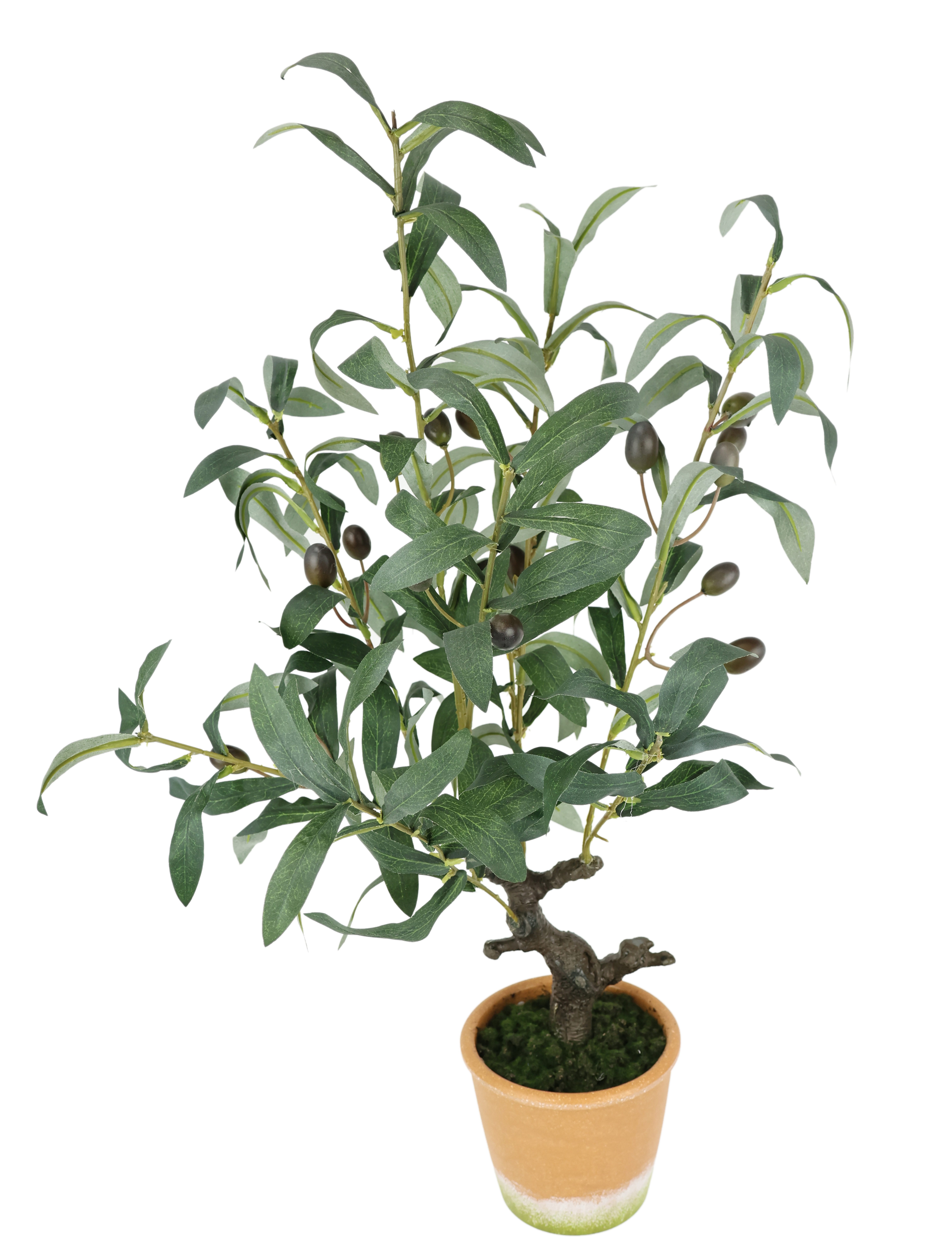 Kunstpflanze Künstlicher Olivenbaum mit schwarzen Früchten, günstig online kaufen