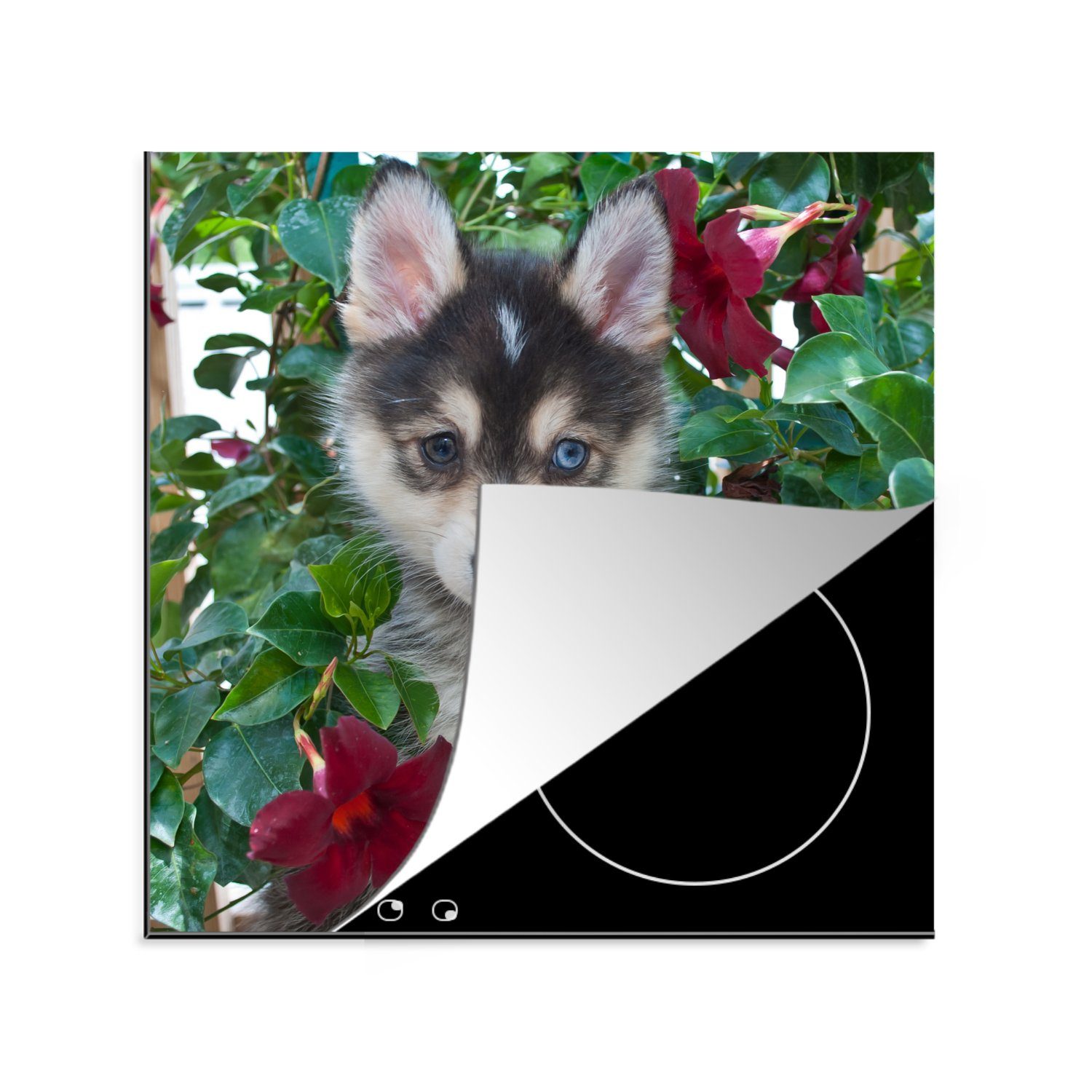 Herdblende-/Abdeckplatte Vinyl, 78x78 tlg), Blumen, cm, (1 Arbeitsplatte für den Pomsky küche MuchoWow Ceranfeldabdeckung, zwischen