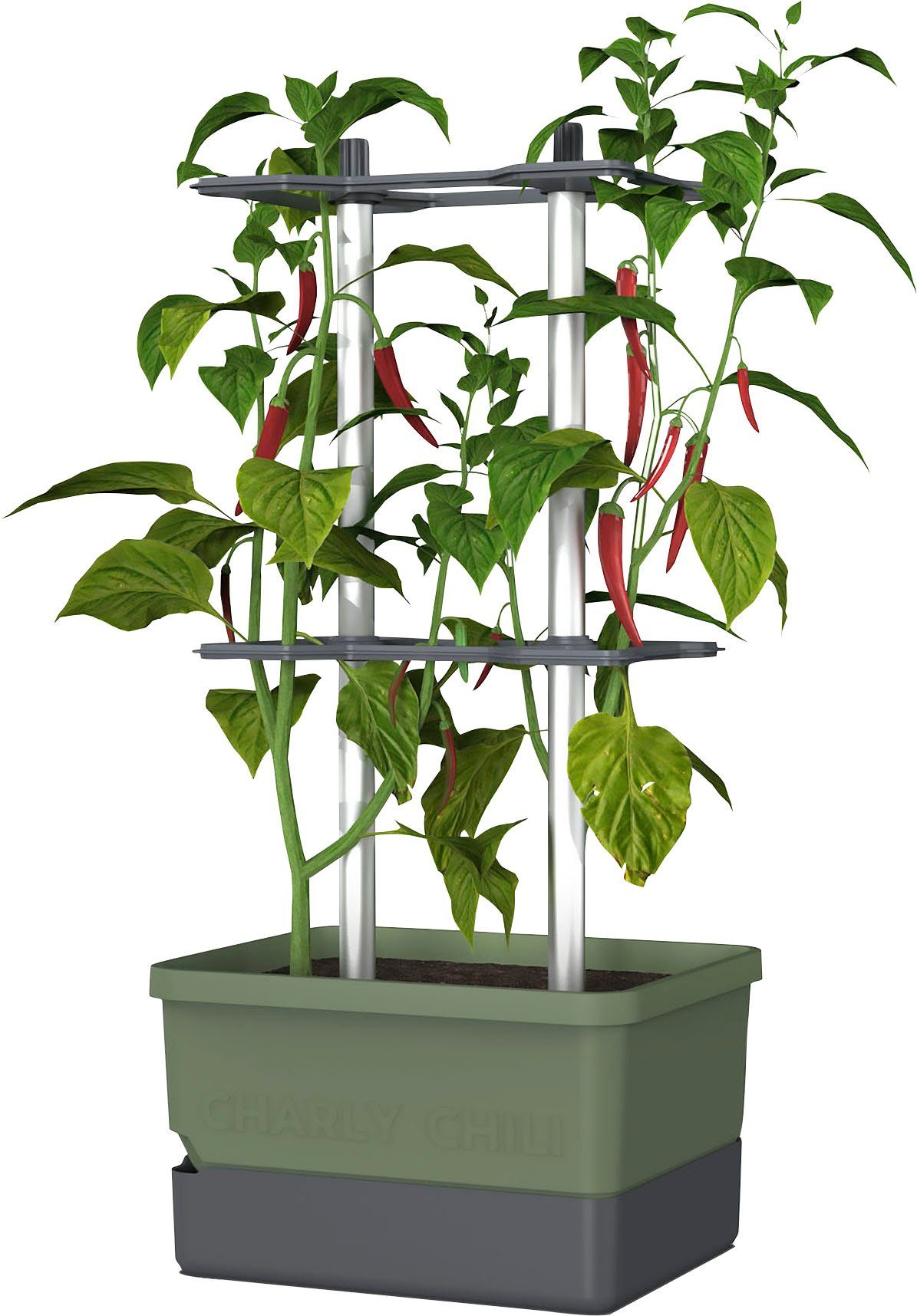 Gusta Garden Pflanzkübel CHARLY CHILI Chilitopf, mit Wassertank & Ranksystem dunkelgrün | Pflanzkübel