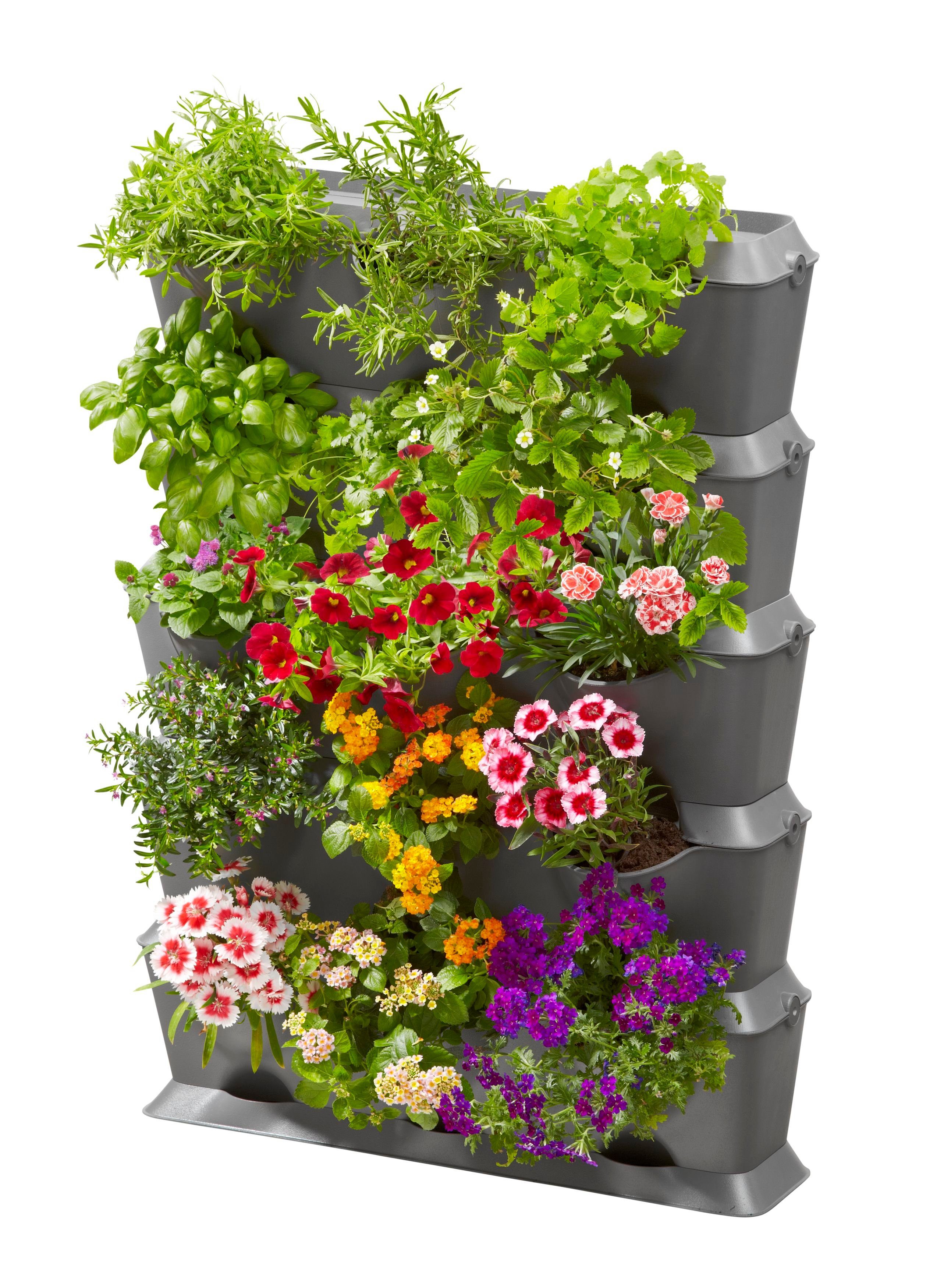 Bewässerungssystem NatureUp! Set Vertikal mit Bewässerung