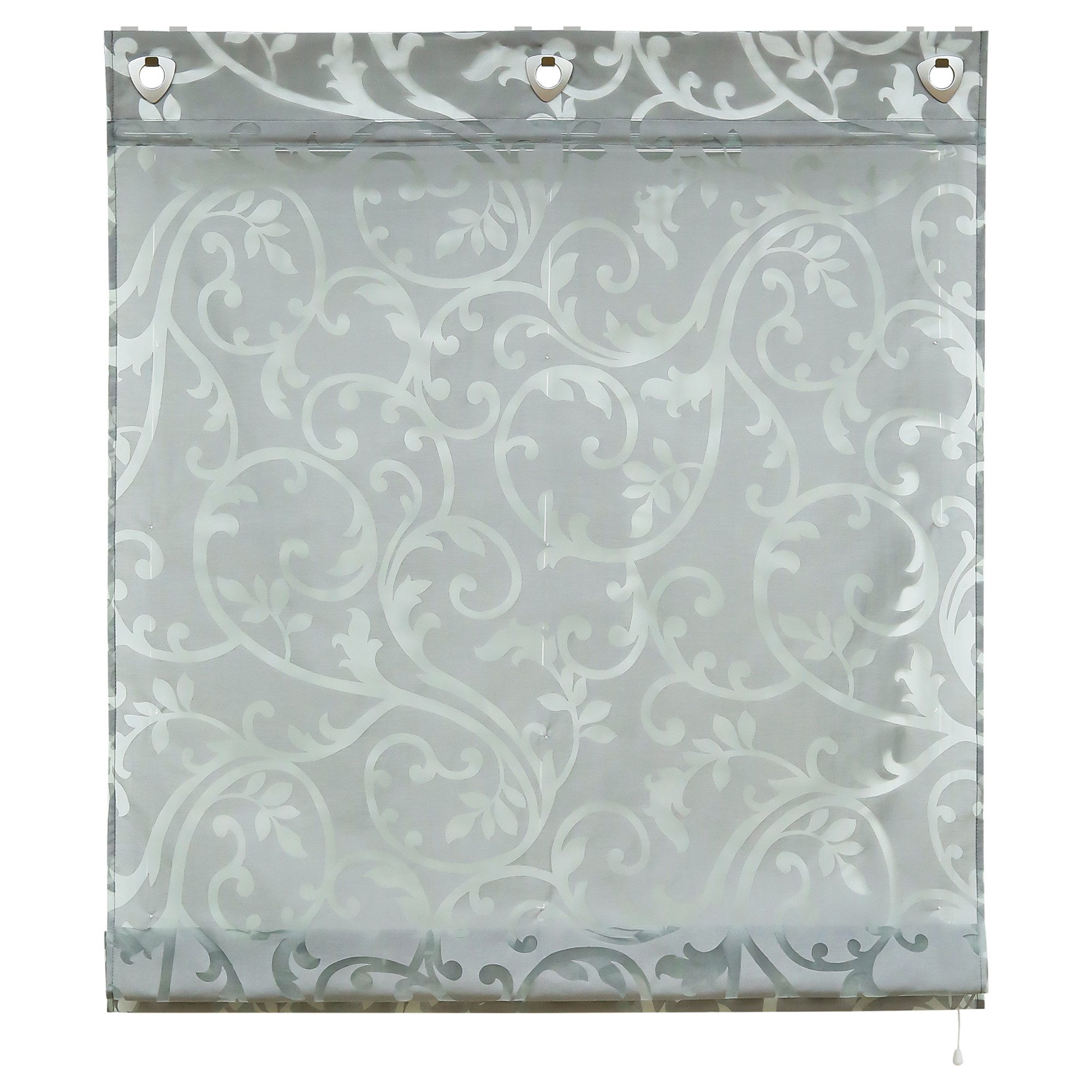 Delien Raffrollo Jessica, mit Hakenaufhängung, Voile Ösenrollo Ausbrenner günstig online kaufen