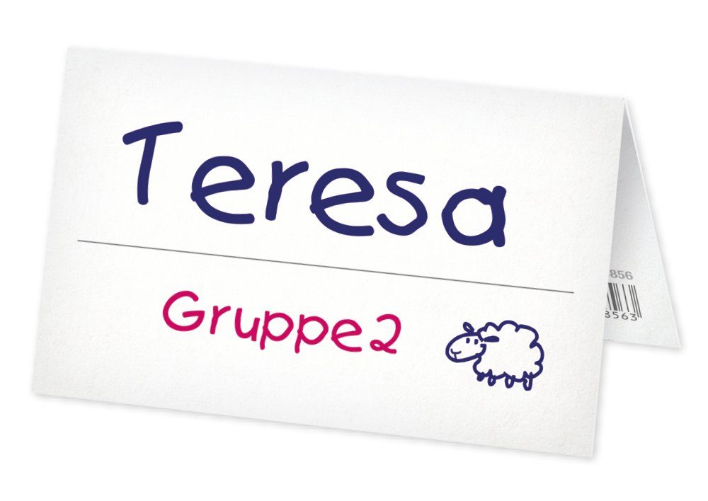 TimeTEX Karteikarten Set Aufstell-Namenskärtchen aus Pappe, 100-tlg.