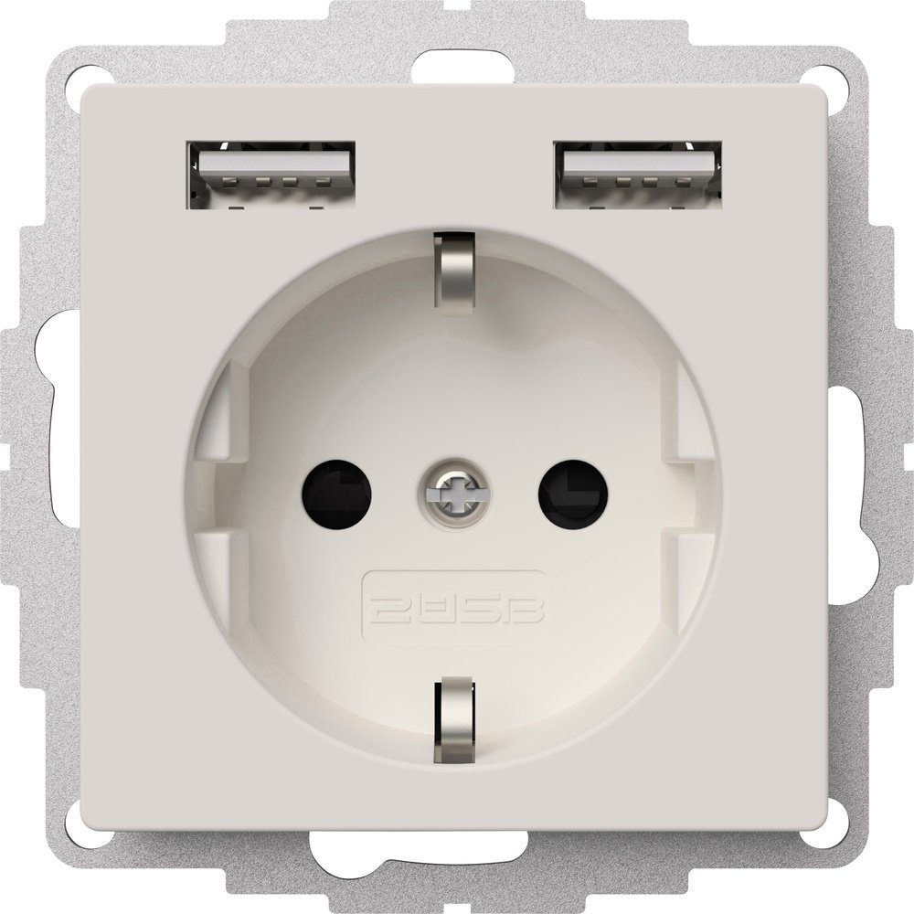 2USB Steckdose 2USB inchargePRO USB AA Steckdose 12W 2.4A Mattes Weiß