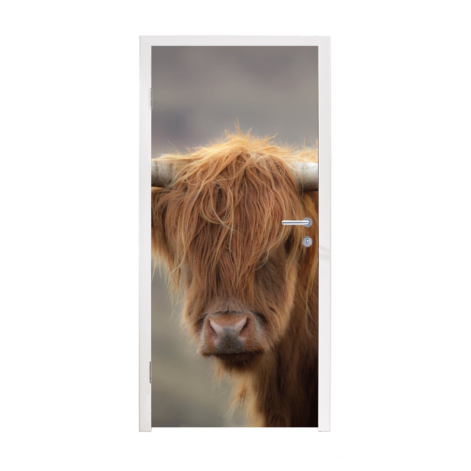 MuchoWow Türtapete Schottischer Highlander - Hörner - Haare, Matt, bedruckt, (1 St), Fototapete für Tür, Türaufkleber, 75x205 cm