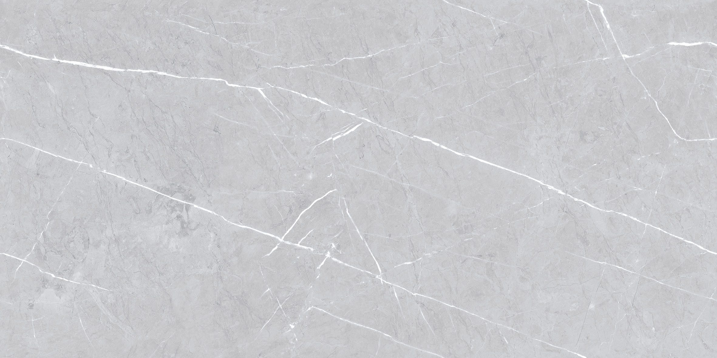 Wandfliese 1 Paket (1,44 m) Fliesen STERLING GREY (60 × 120 cm), poliert, grau, Wandgestaltung Duschwand Innen Im Haus Badfliesen Küchenfliese