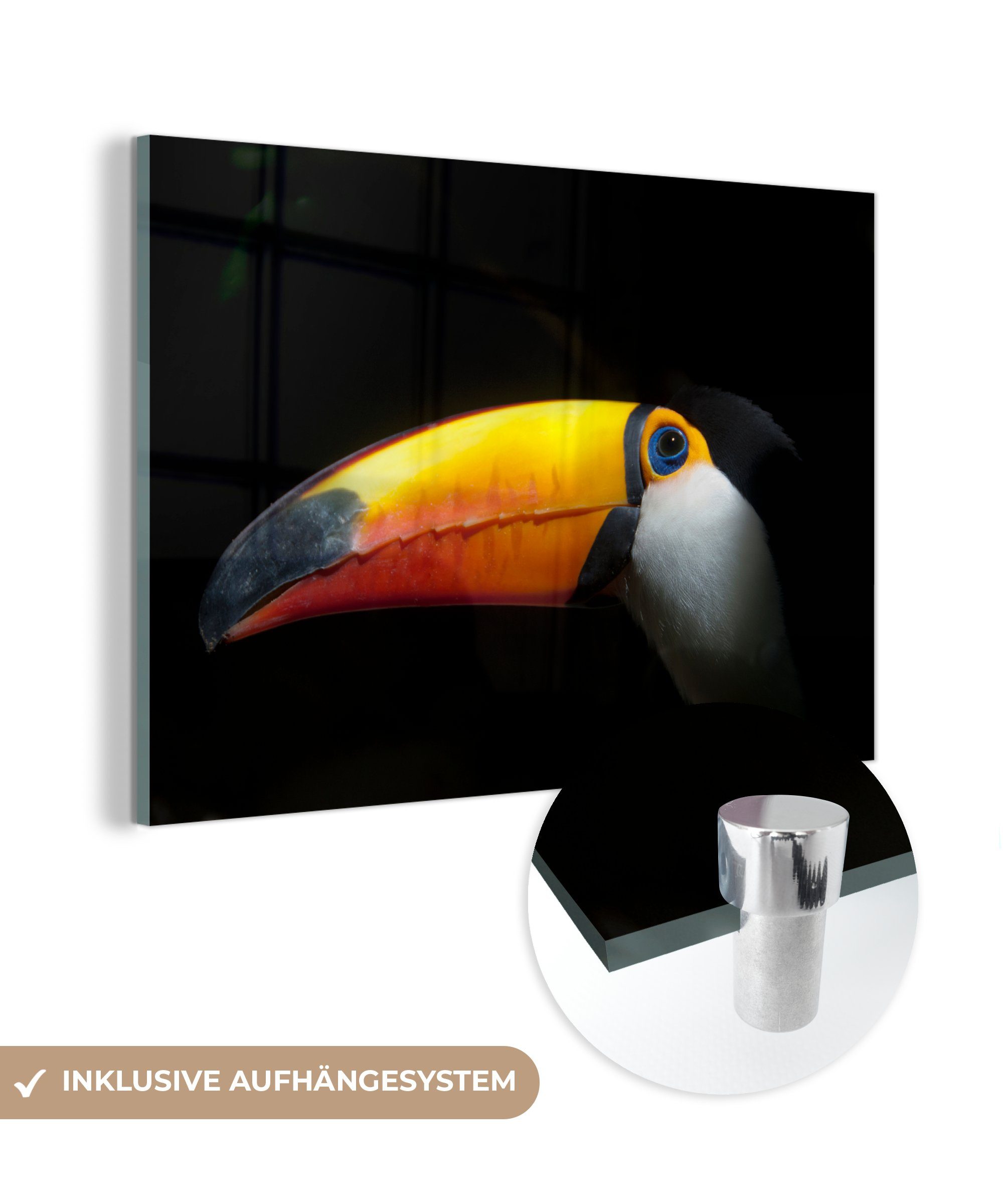 MuchoWow Acrylglasbild Nahaufnahme eines Tukans mit orangefarbenem Schnabel, (1 St), Acrylglasbilder Wohnzimmer & Schlafzimmer
