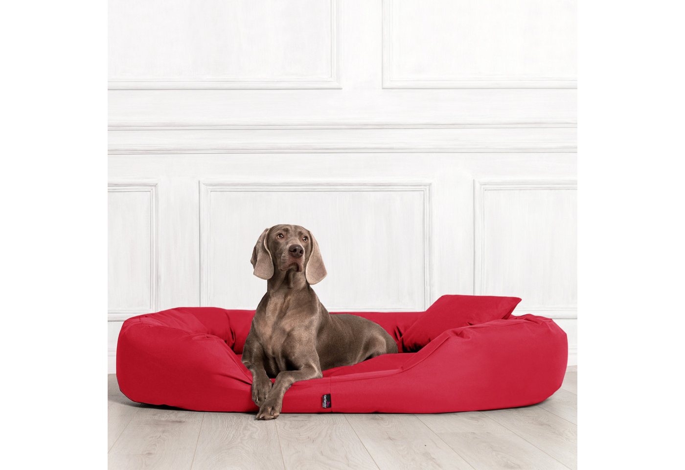 Thumbnail - tierlando® Tierbett Orthopädisches Hundebett SAMMY, Robuster Polyester, Dicke Umrandung, Dicke Umrandung zur bequemen Ko...