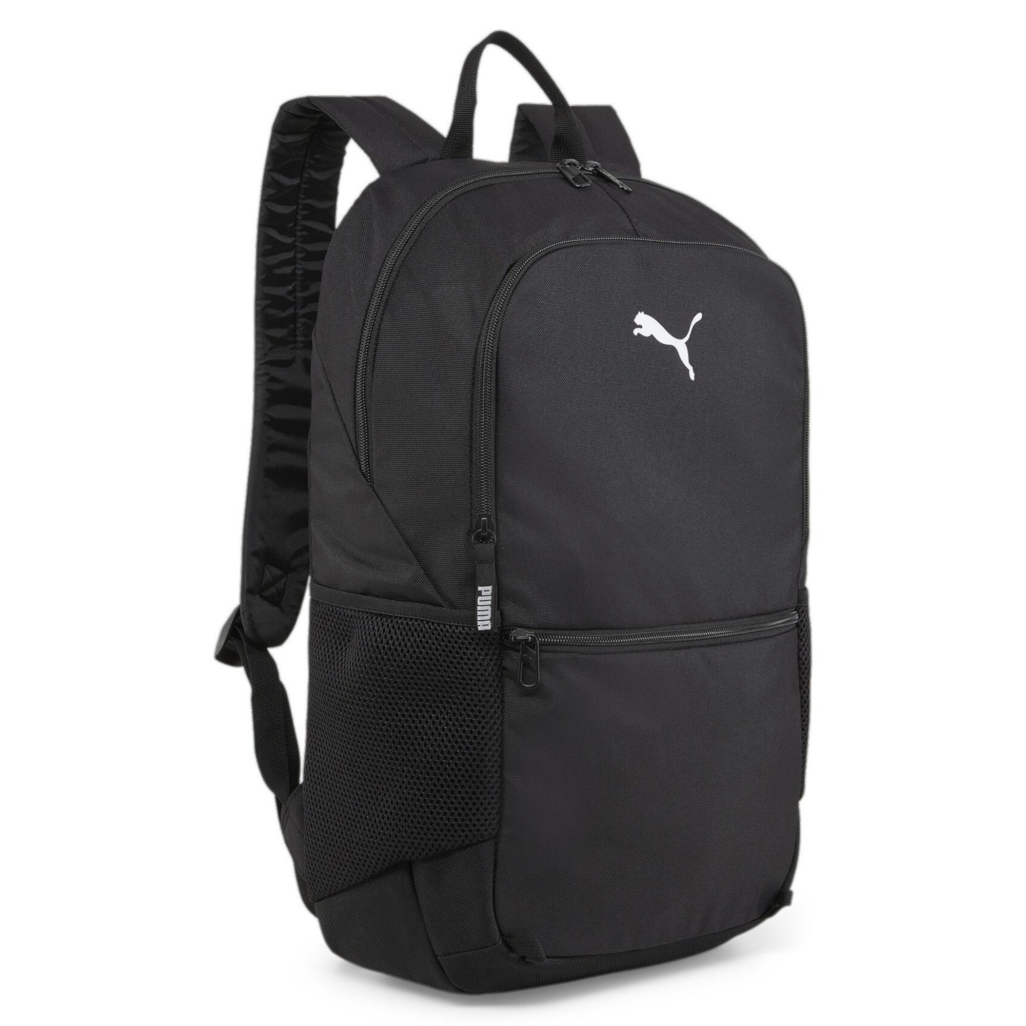 Rucksack Puma Rucksack teamGOAL Backpack with Ball Net 090467
