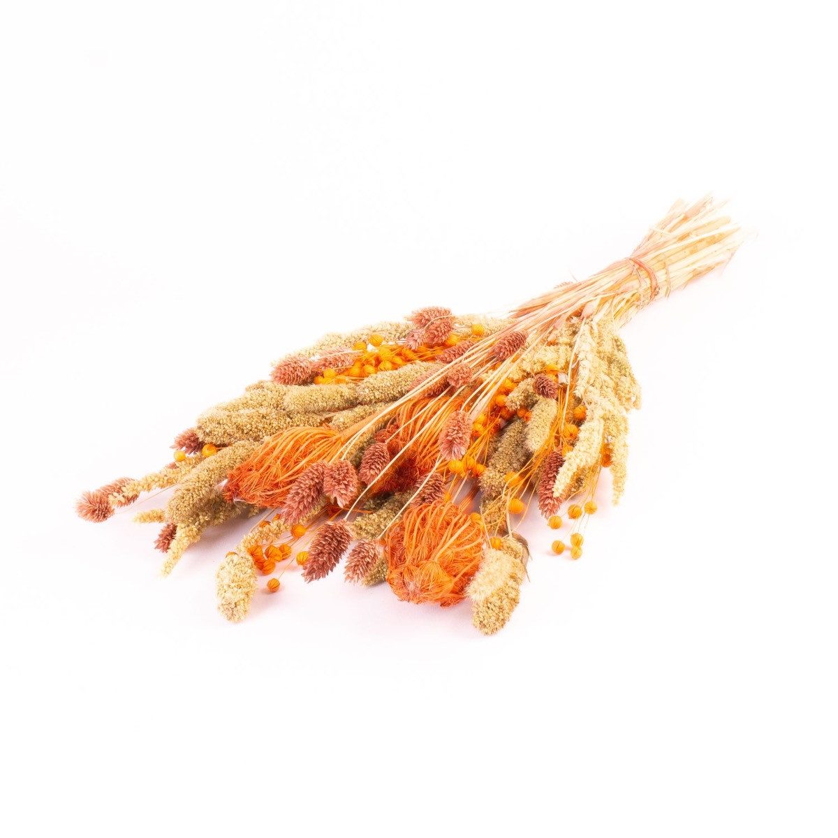 Trockenblume Blumenstrauß getrocknet Floralie, orange-Natur, 55cm, Ø18cm, INNA-Glas, Höhe 55.0 cm